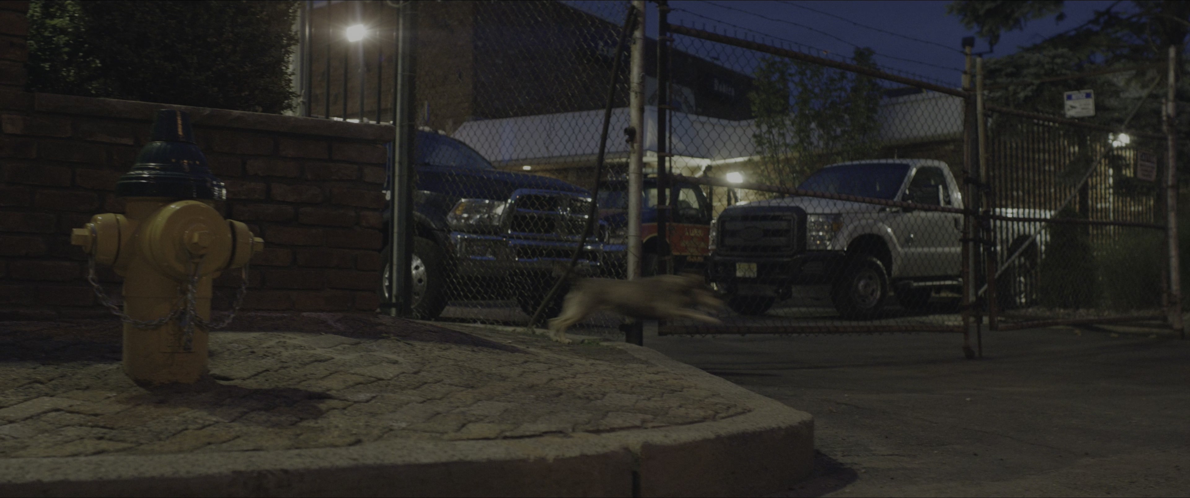 Dogman (2023), wide, 2.39:1 — film still