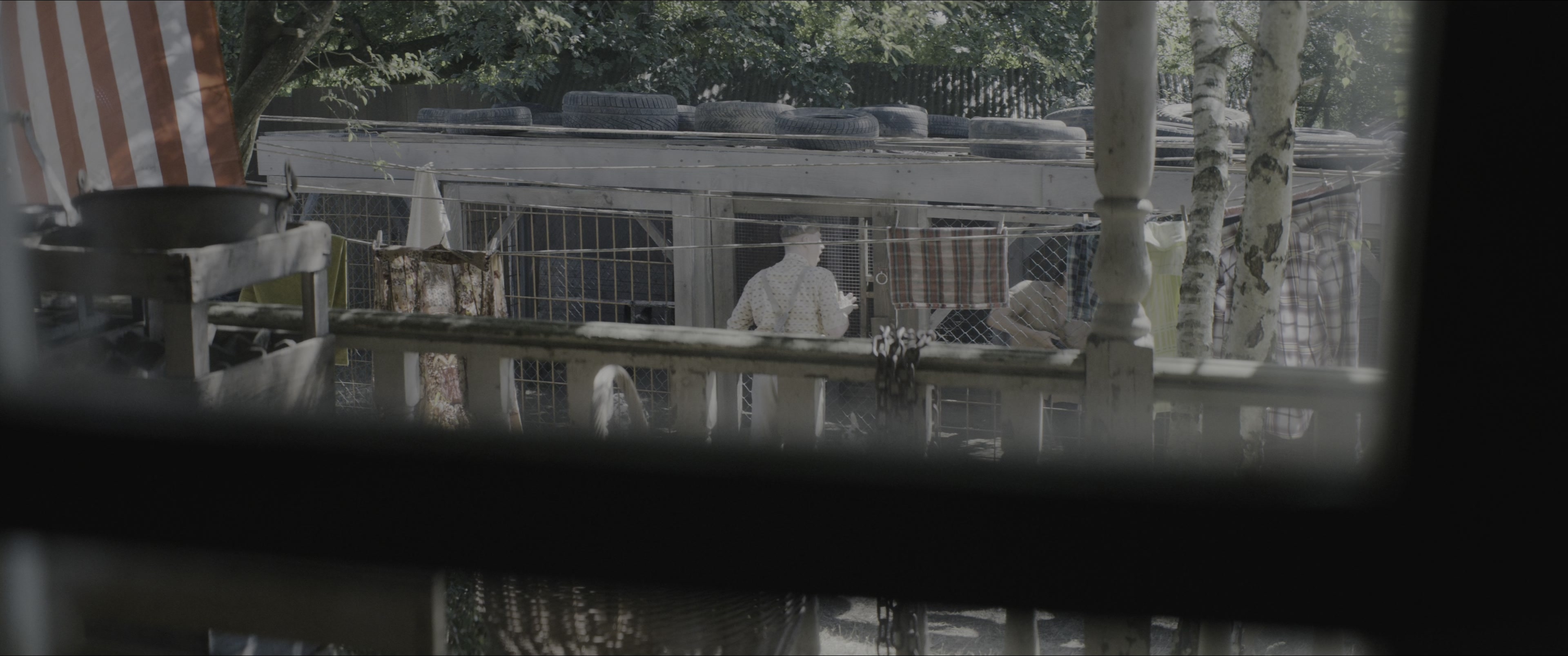 Dogman (2023), wide, 2.39:1 — film still