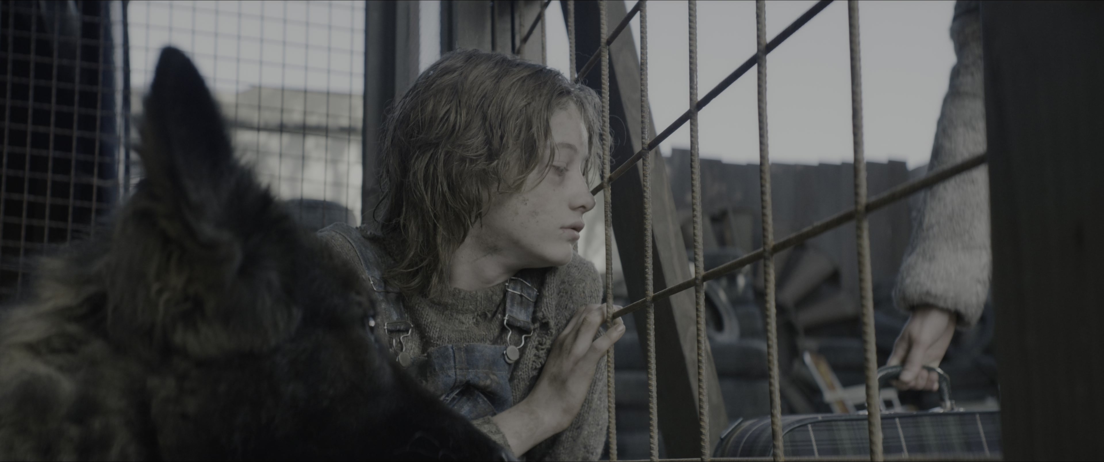 Dogman (2023), wide, 2.39:1 — film still