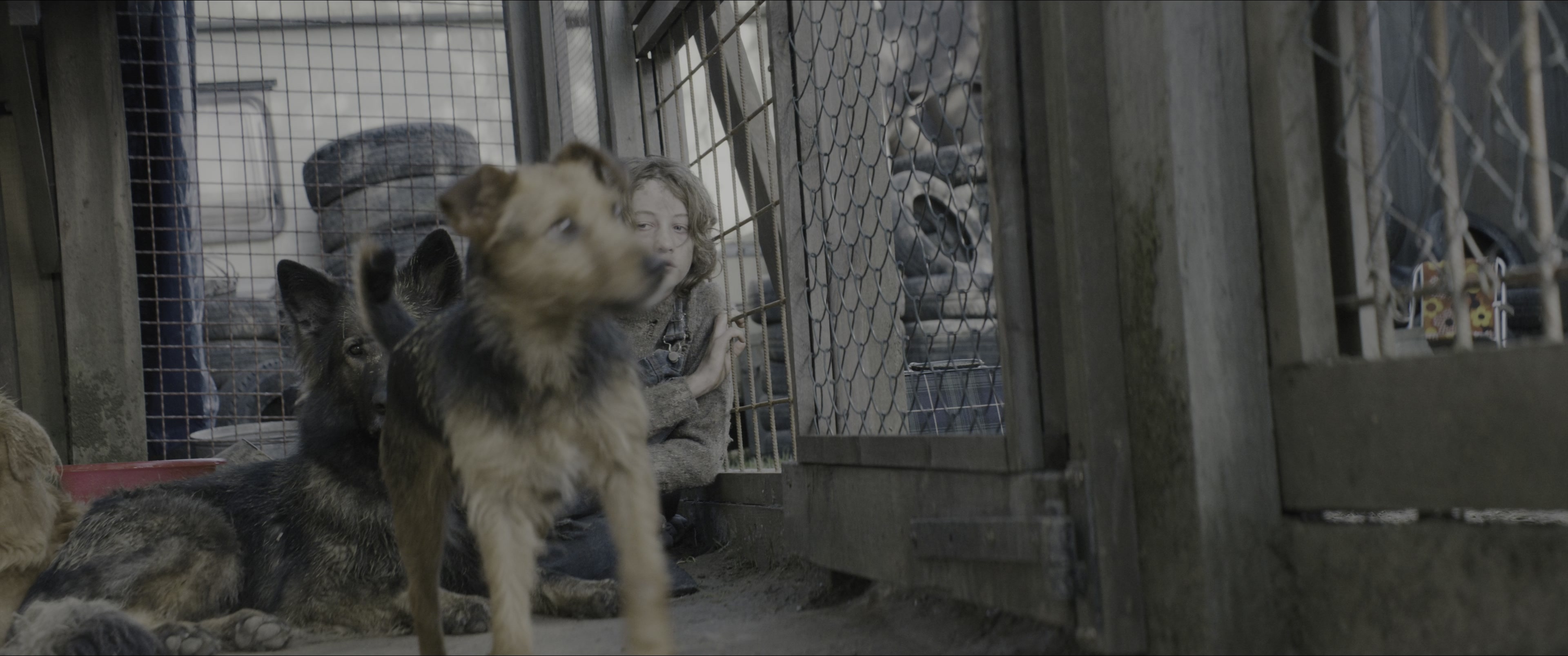 Dogman (2023), wide, 2.39:1 — film still