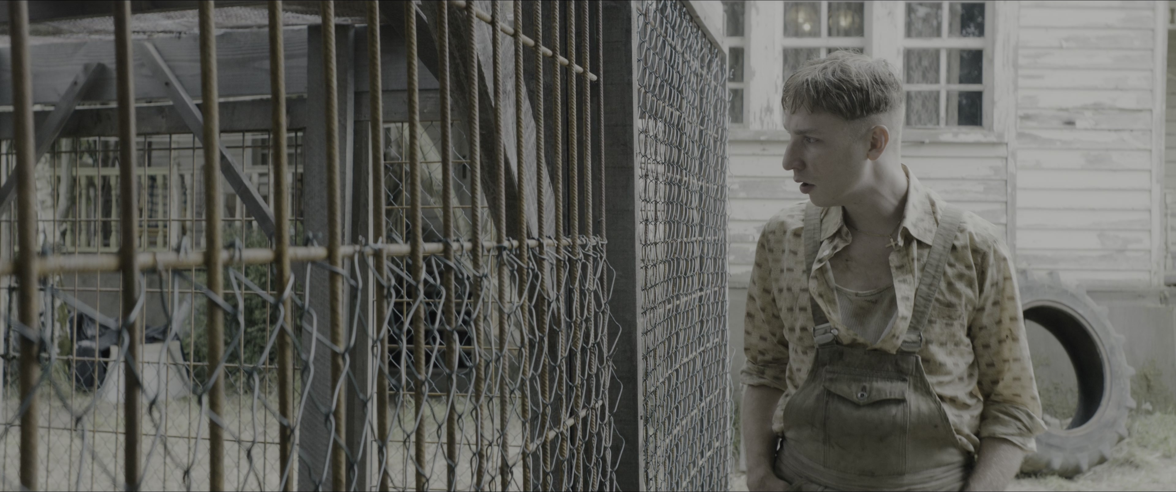Dogman (2023), wide, 2.39:1 — film still