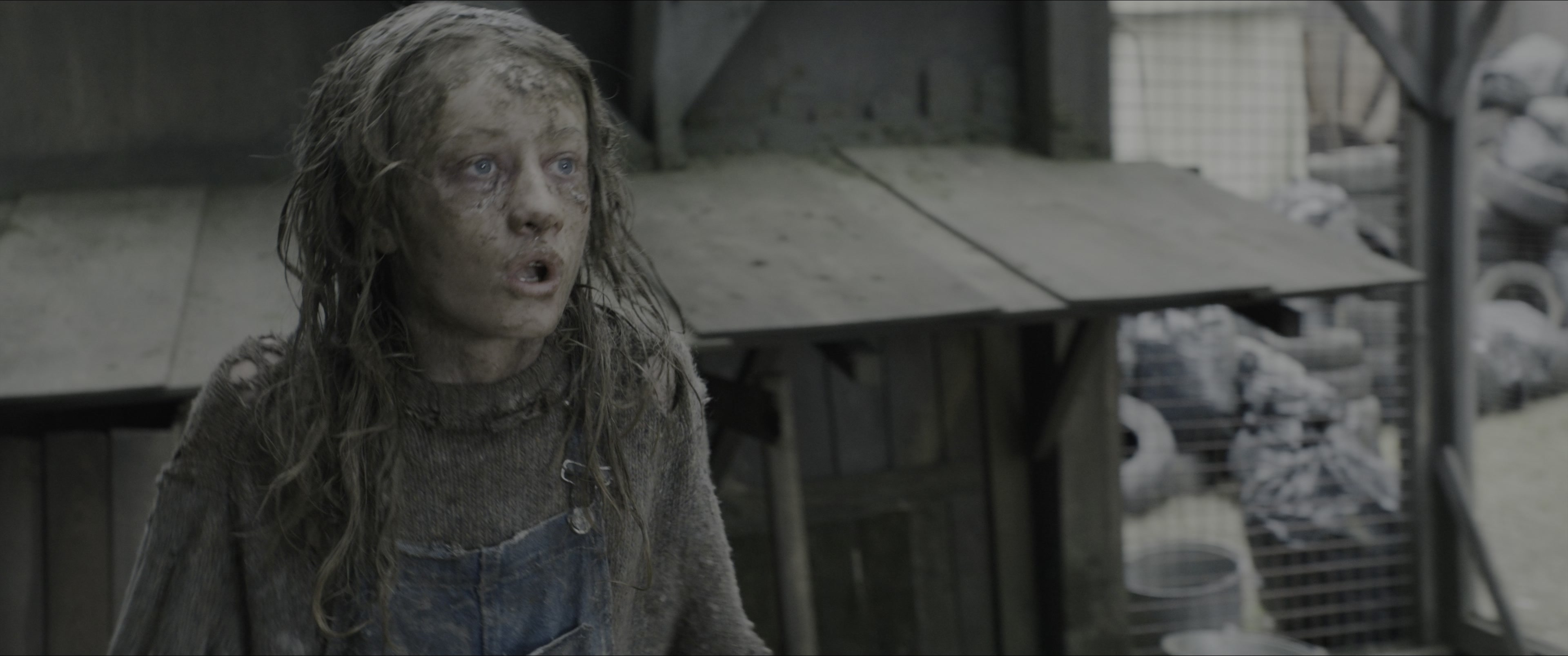 Dogman (2023), wide, 2.39:1 — film still