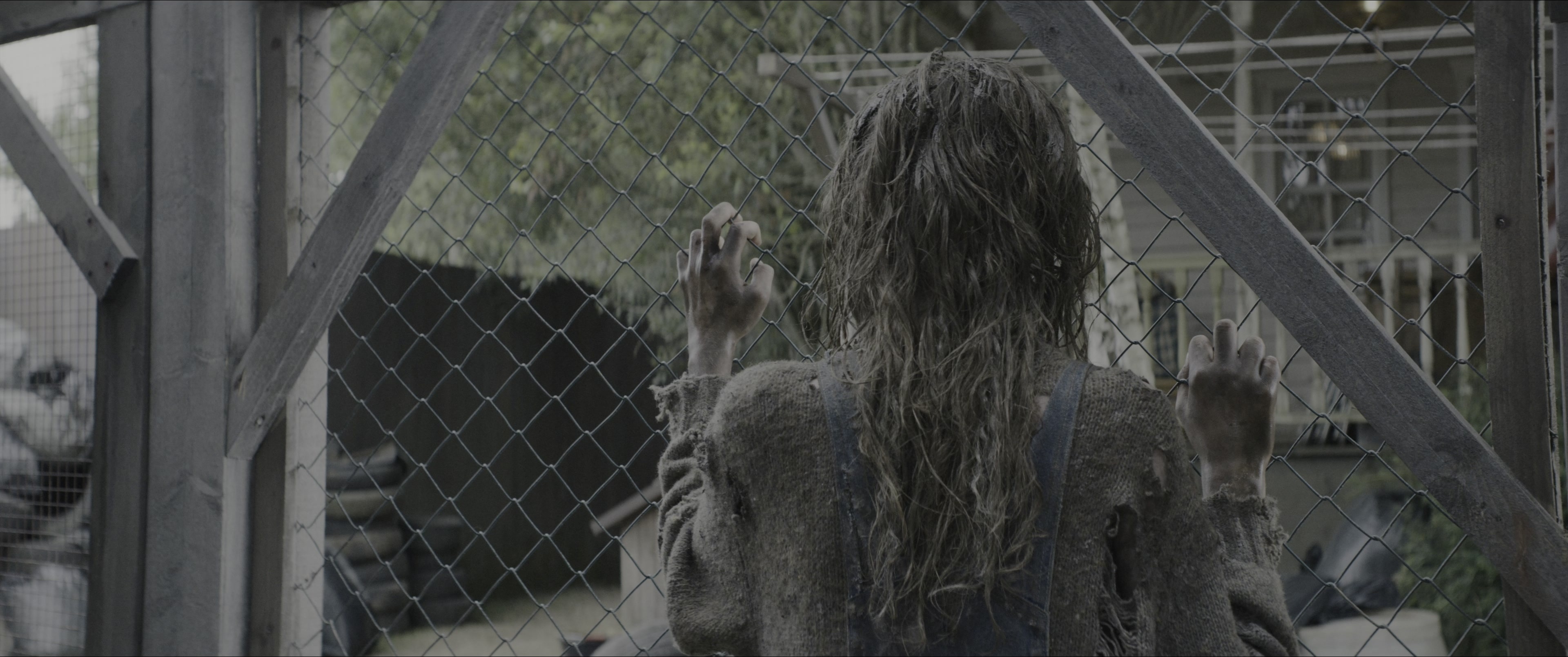 Dogman (2023), wide, 2.39:1 — film still