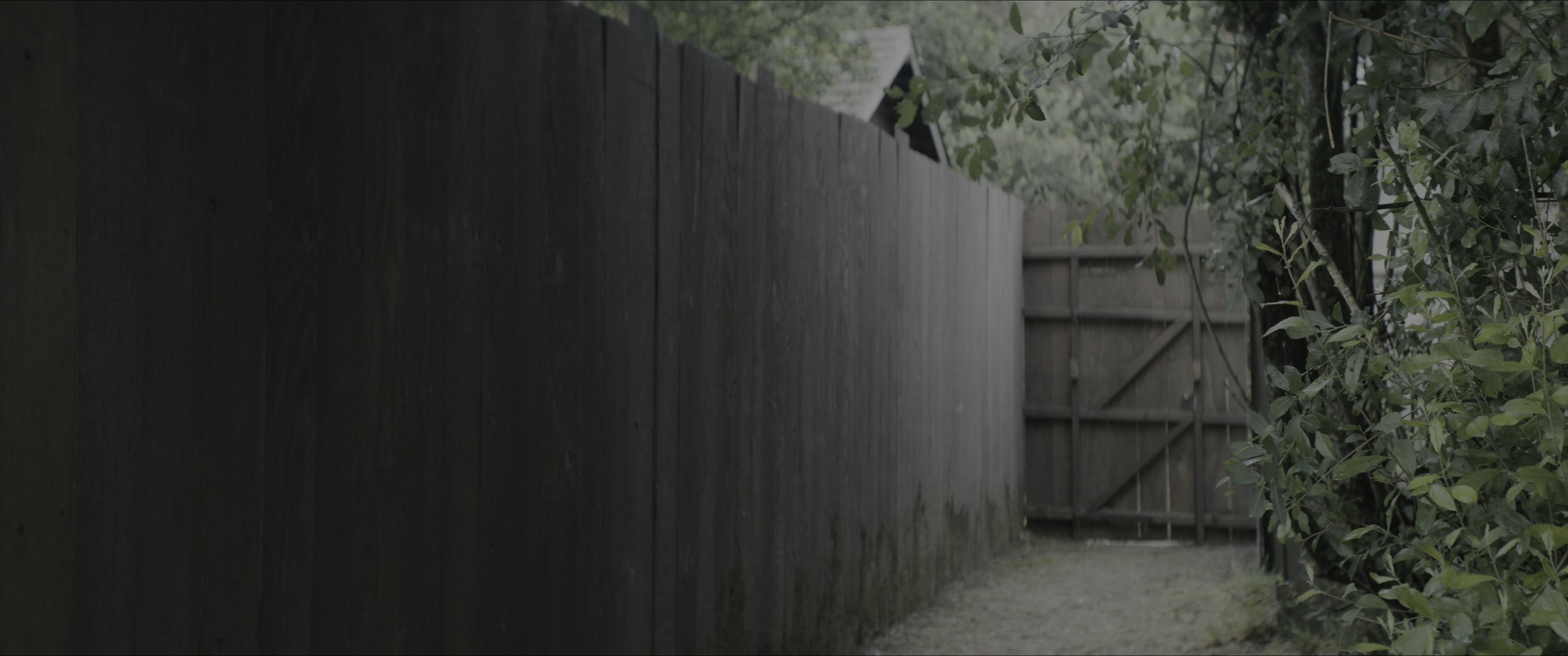 Dogman (2023), wide, 2.39:1 — film still
