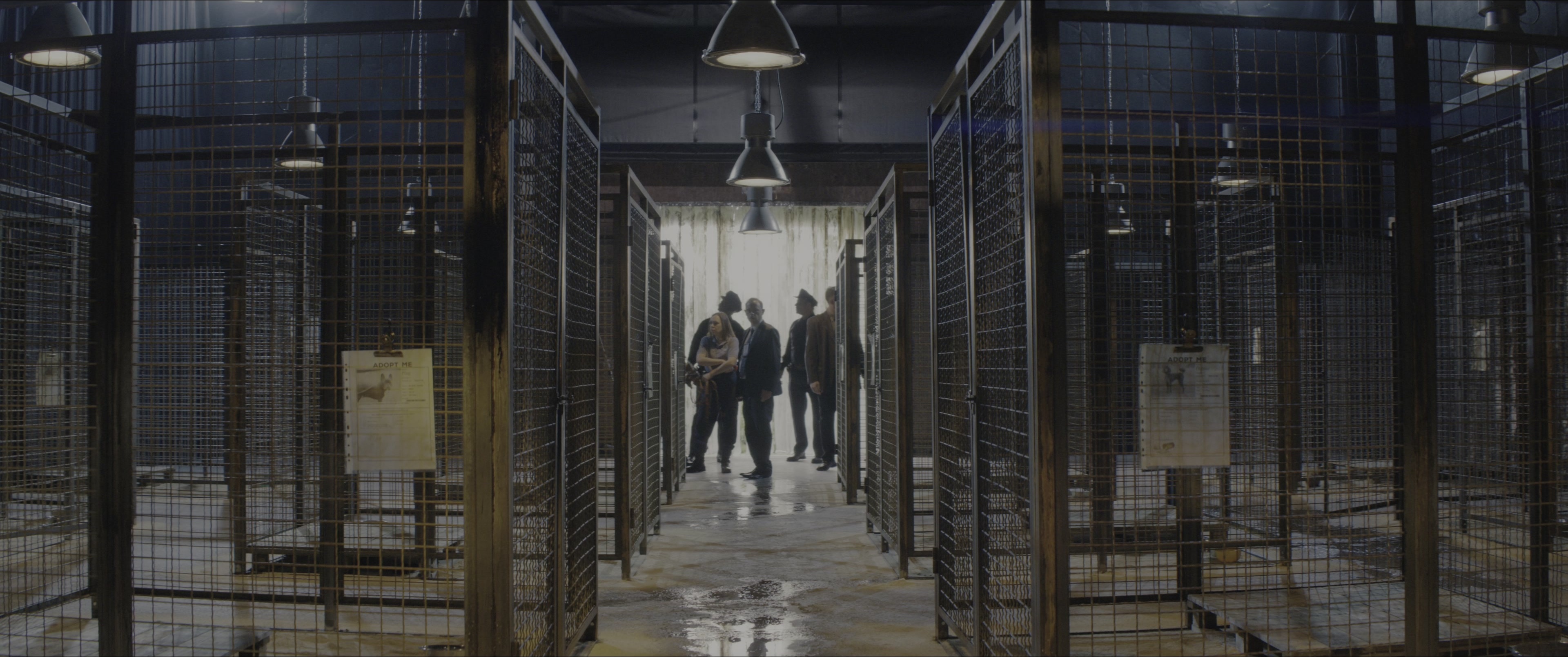 Dogman (2023), wide, 2.39:1 — film still