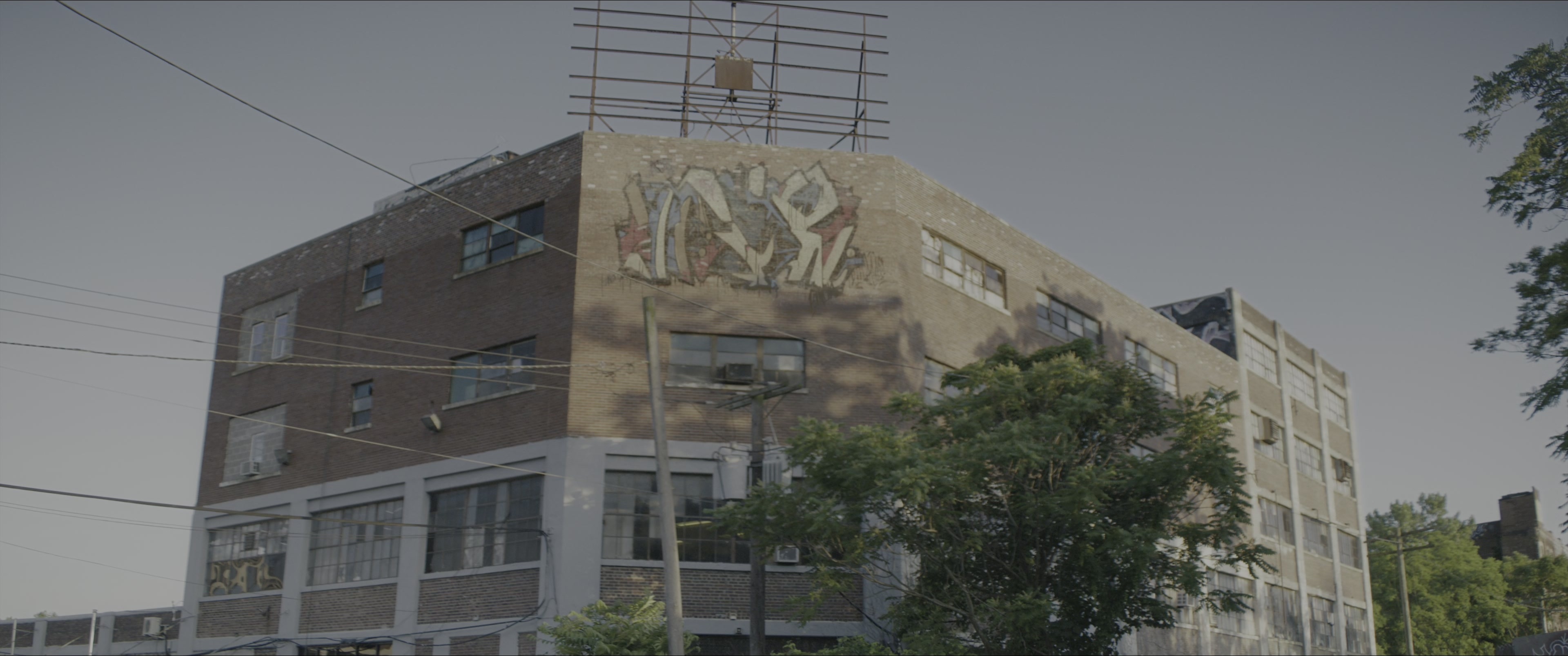 Dogman (2023), wide, 2.39:1 — film still