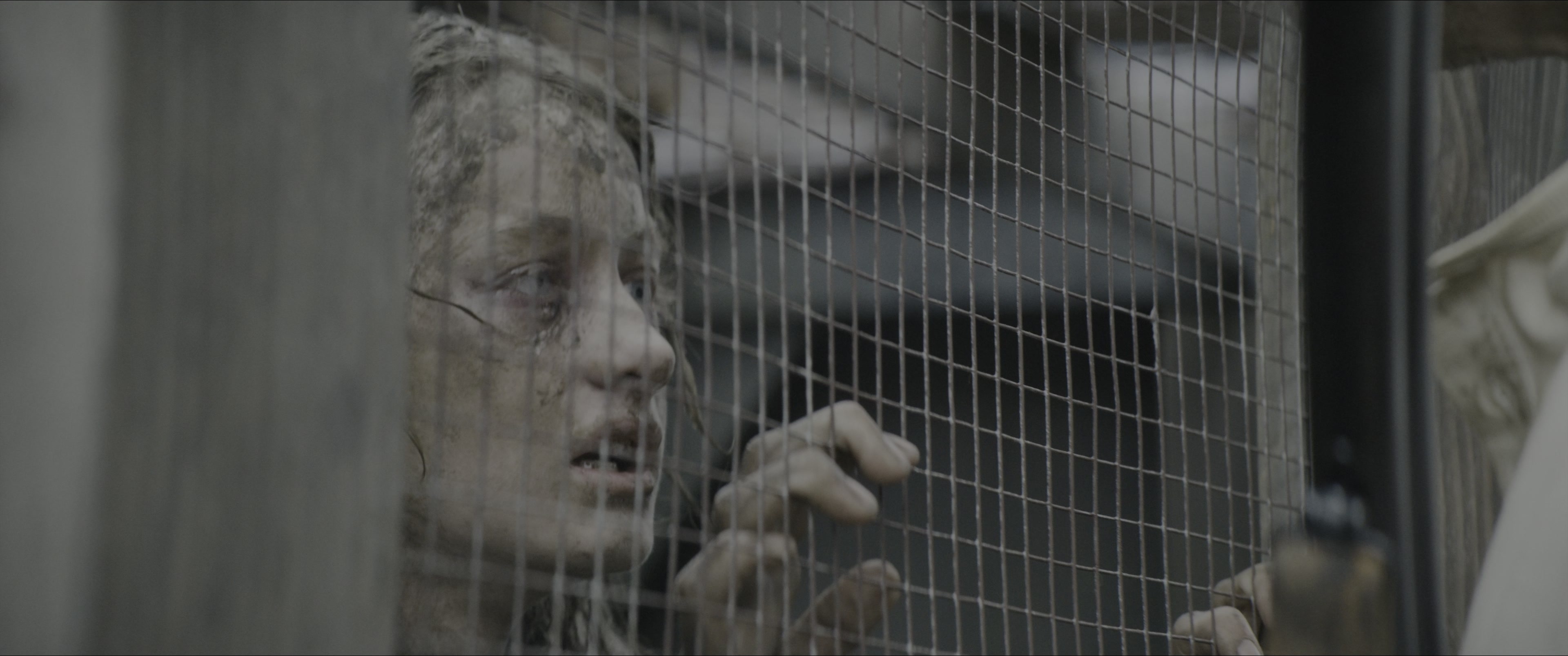 Dogman (2023), wide, 2.39:1 — film still