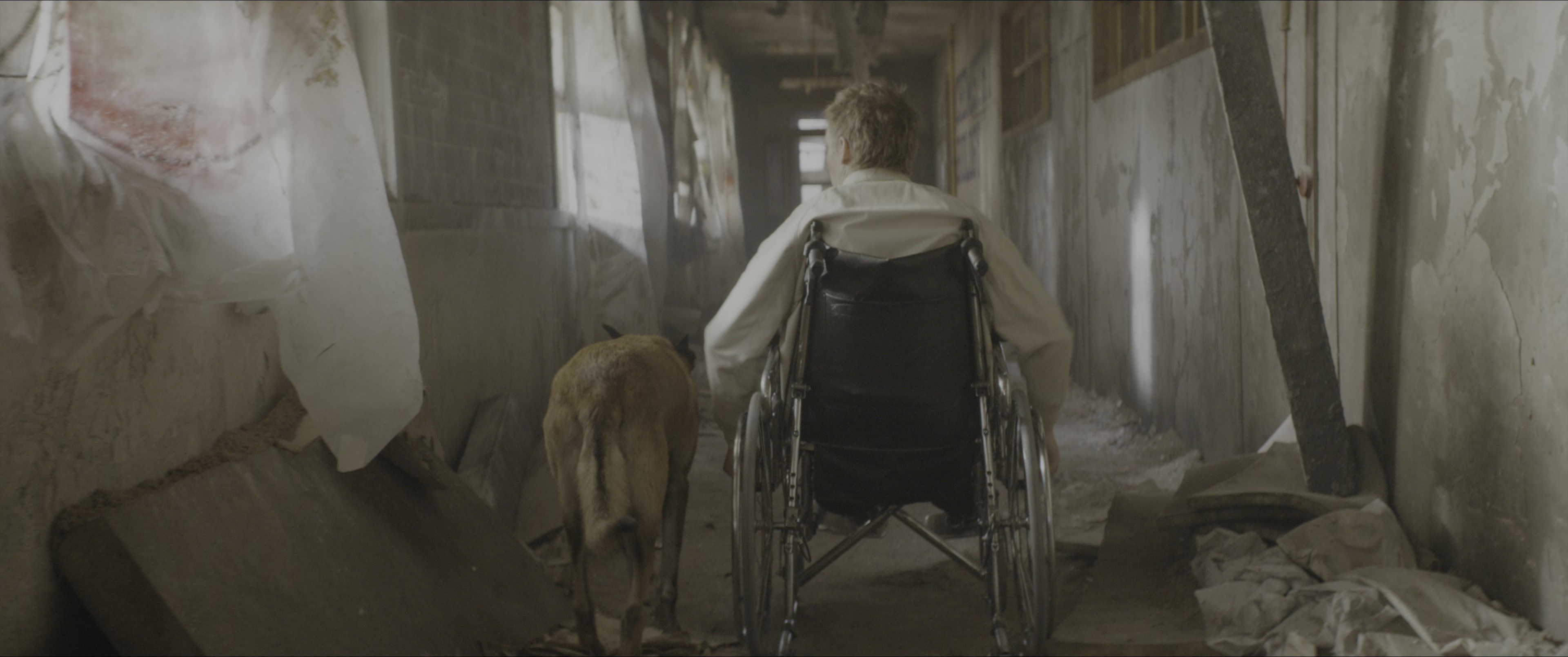 Dogman (2023), wide, 2.39:1 — film still