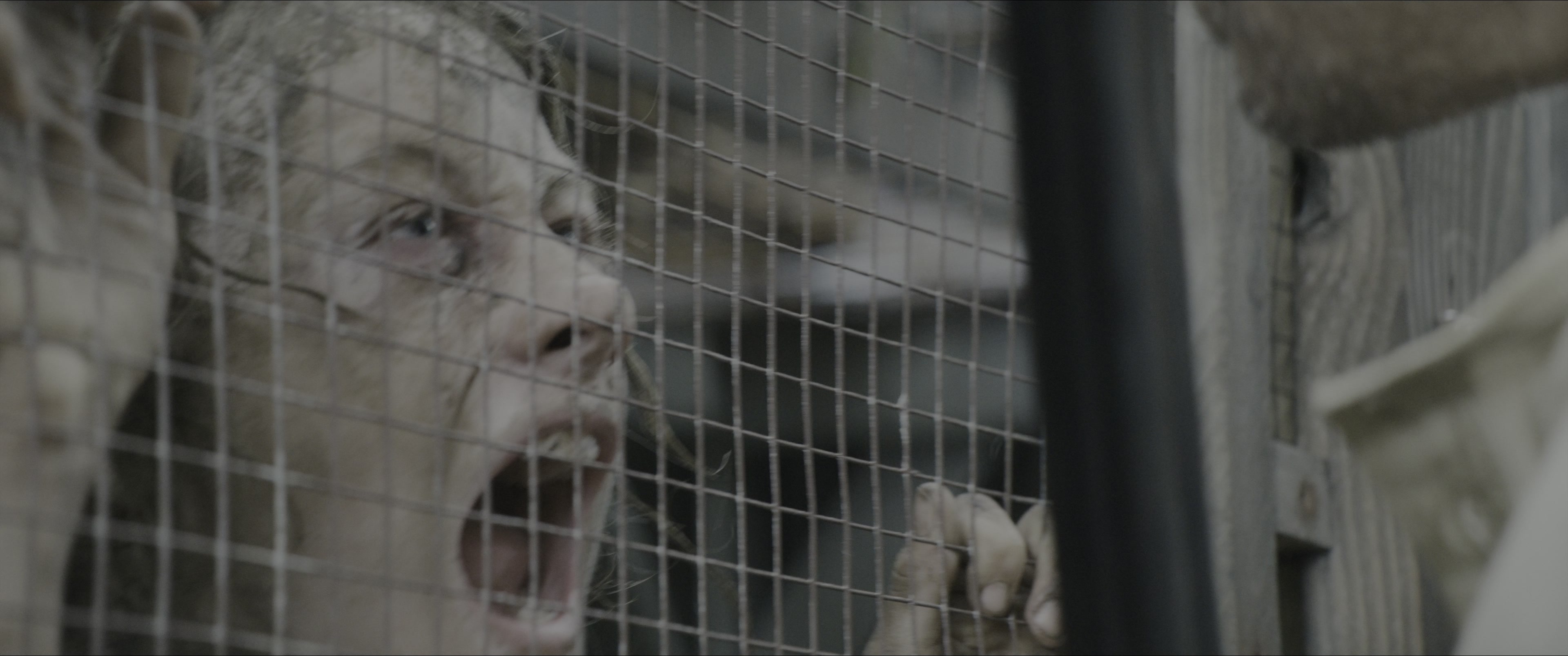 Dogman (2023), wide, 2.39:1 — film still