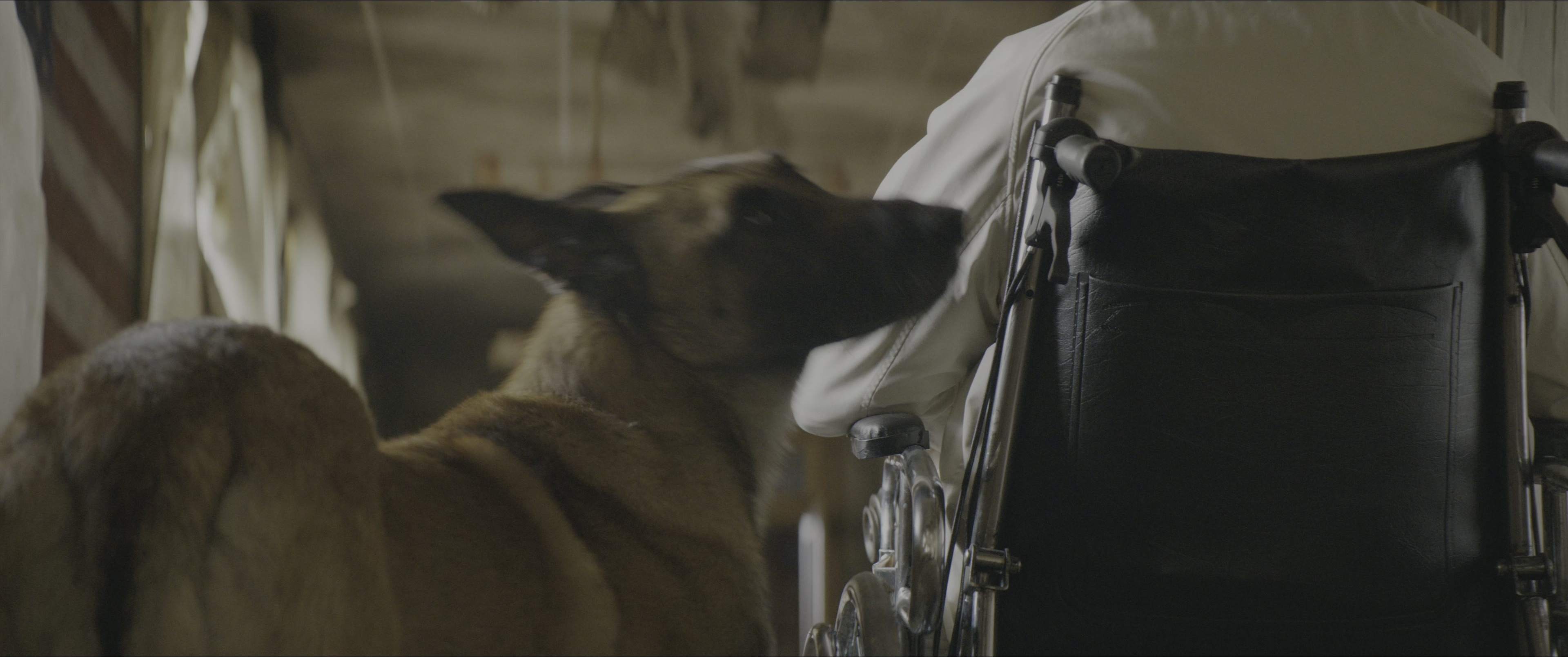 Dogman (2023), wide, 2.39:1 — film still