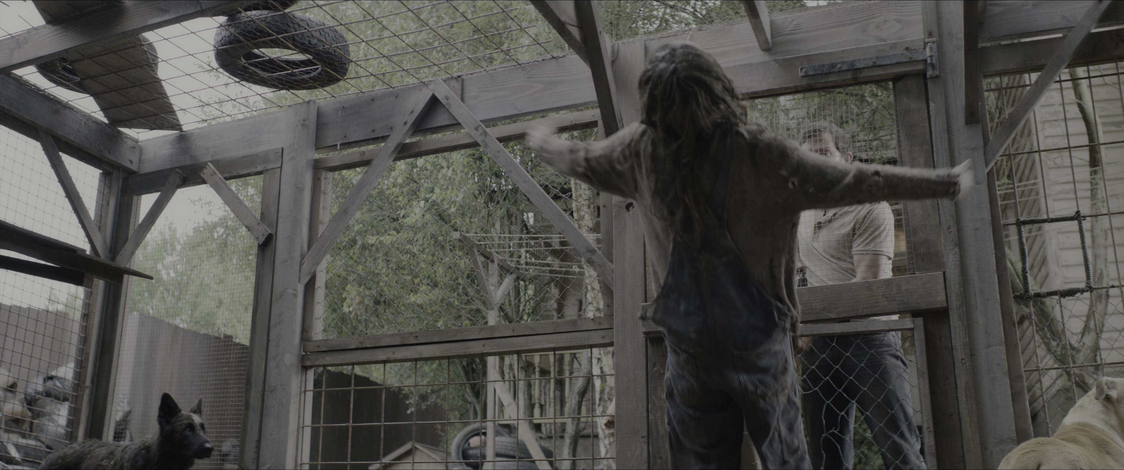 Dogman (2023), wide, 2.39:1 — film still