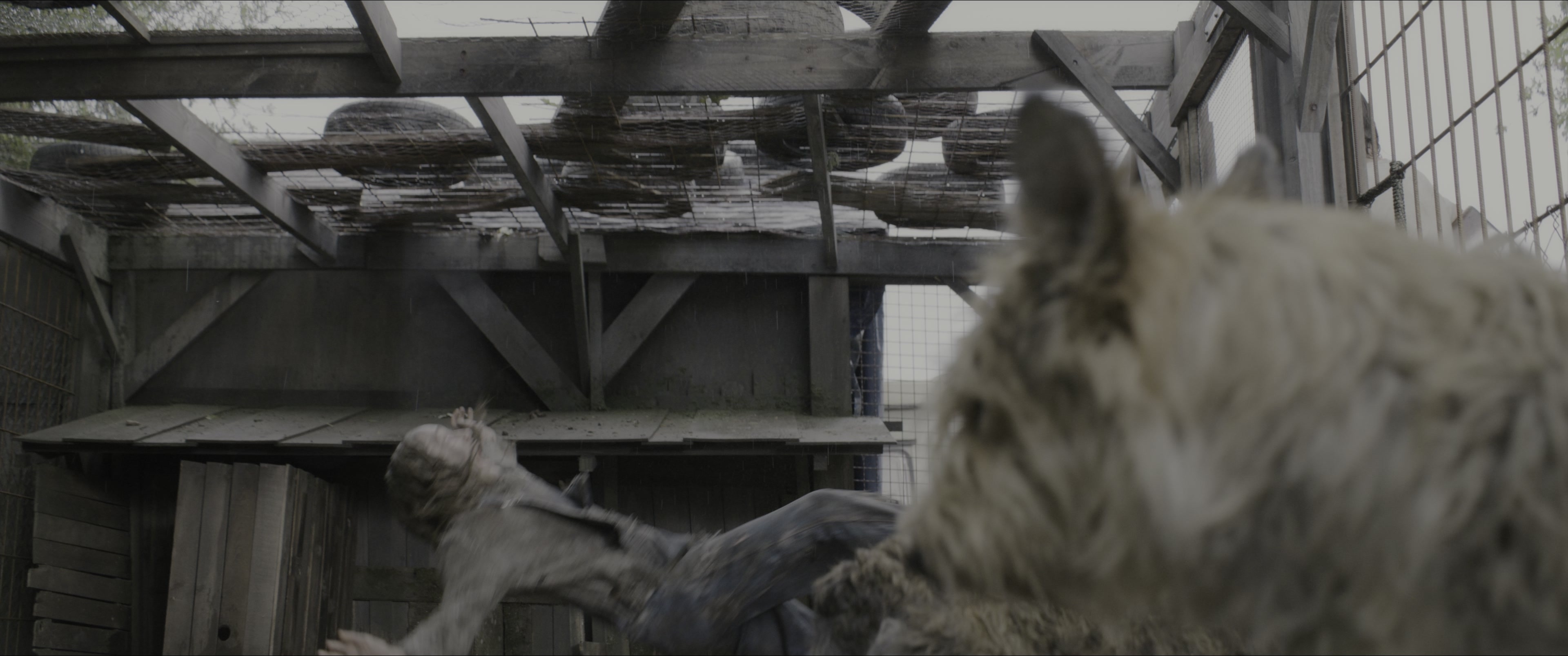 Dogman (2023), wide, 2.39:1 — film still