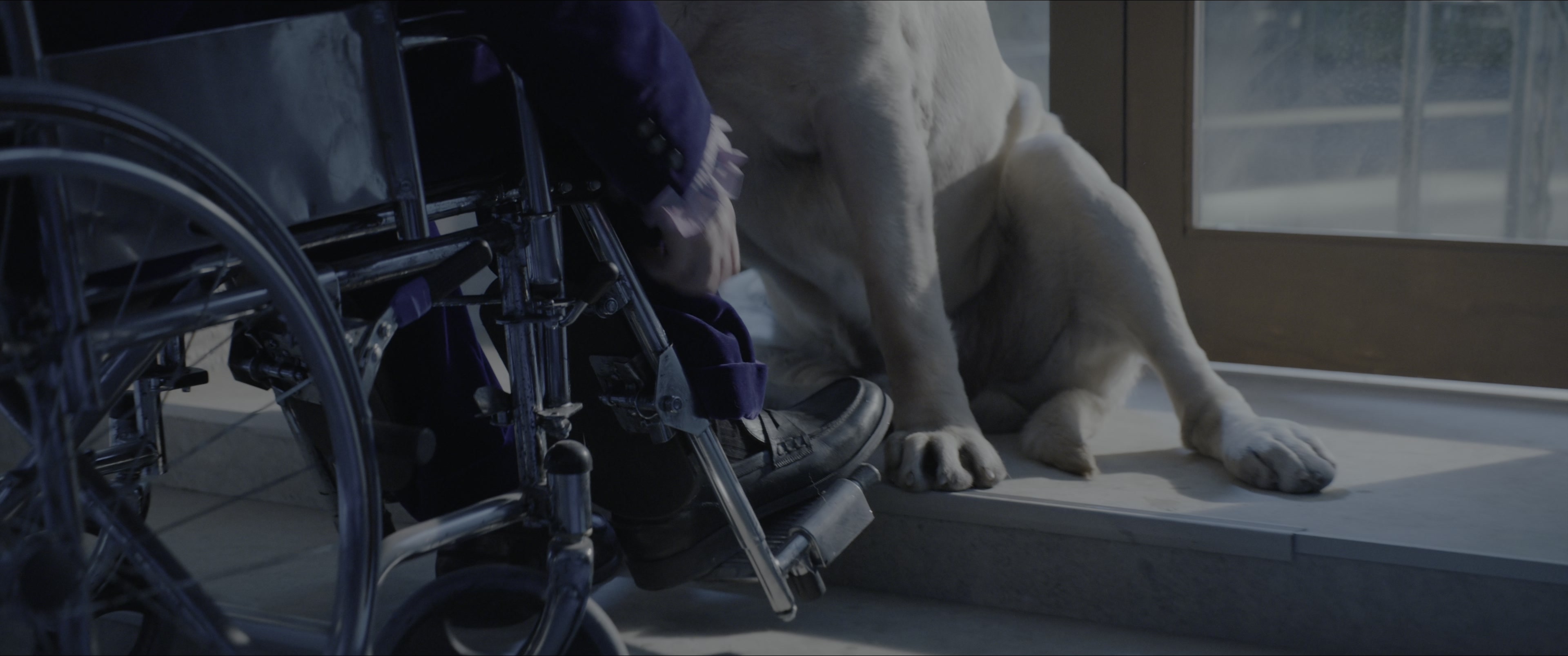 Dogman (2023), unknown, 2.39:1 — film still