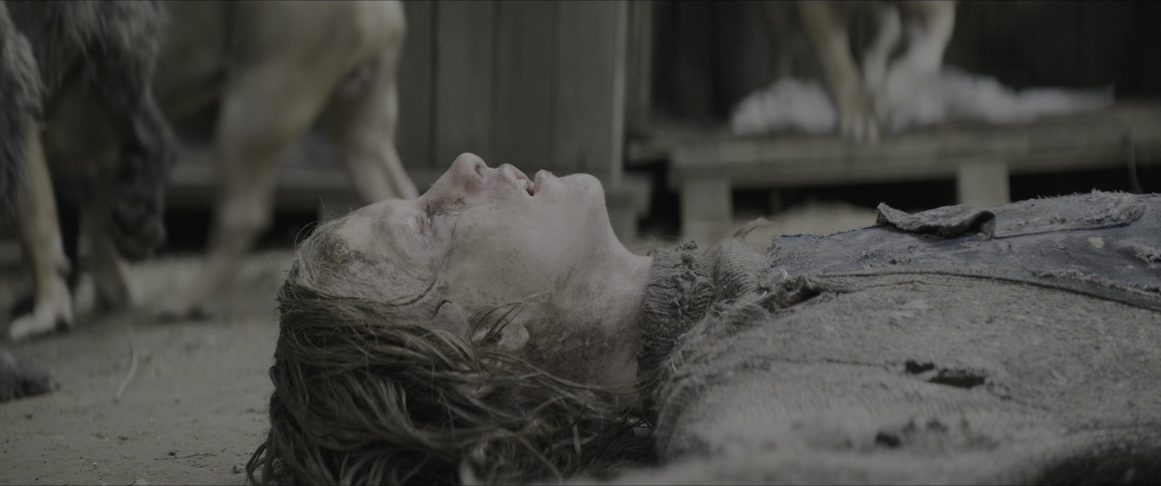 Dogman (2023), wide, 2.39:1 — film still