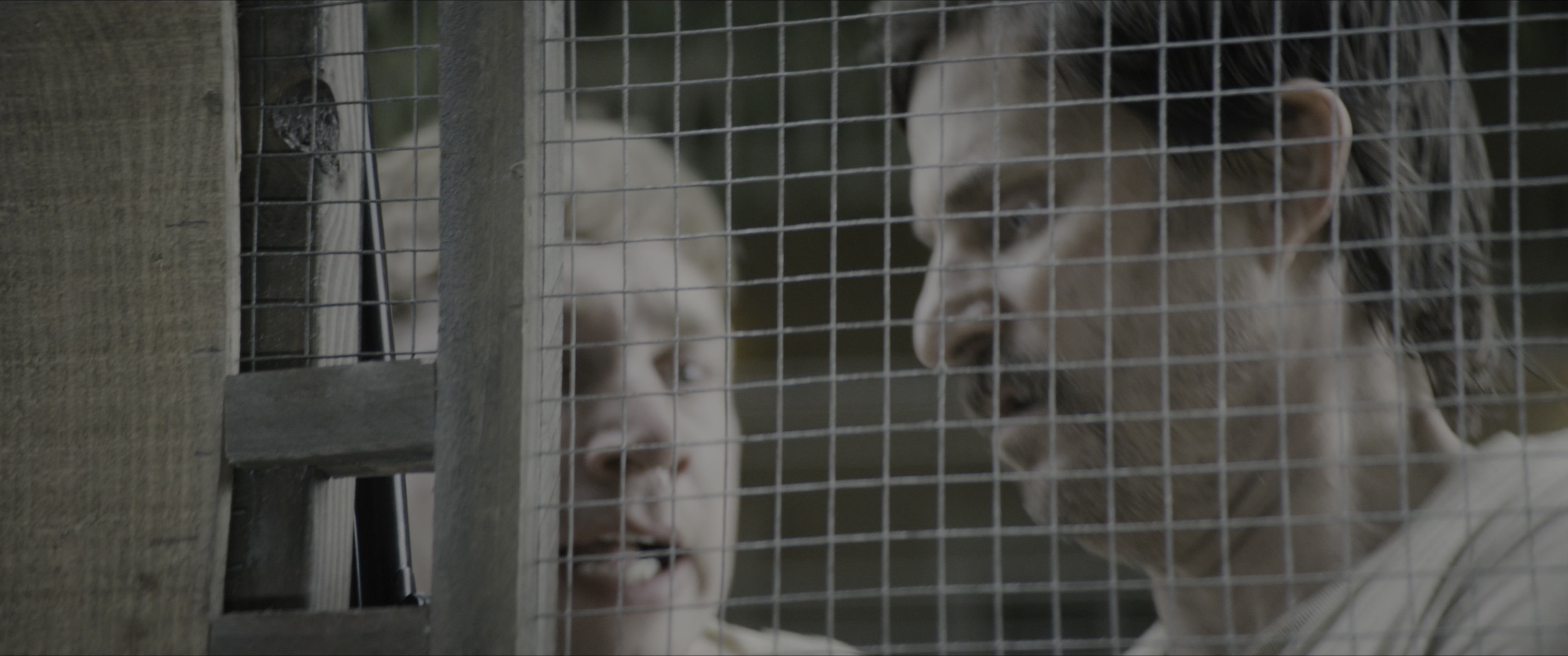 Dogman (2023), wide, 2.39:1 — film still
