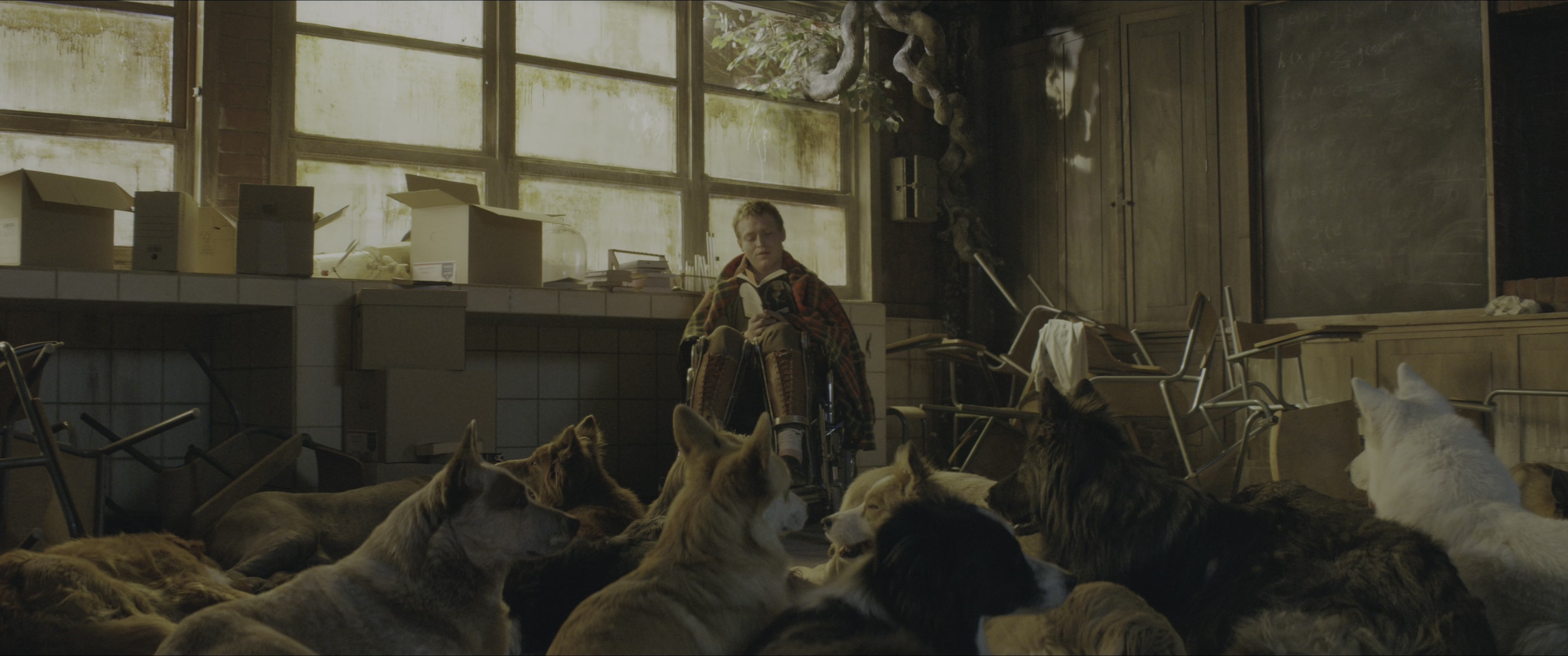 Dogman (2023), wide, 2.39:1 — film still