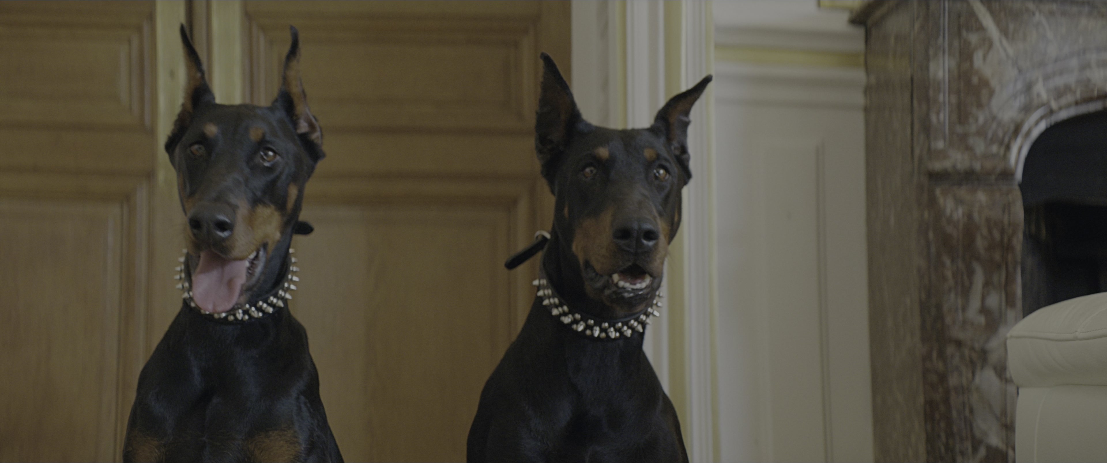 Dogman (2023), unknown, 2.39:1 — film still