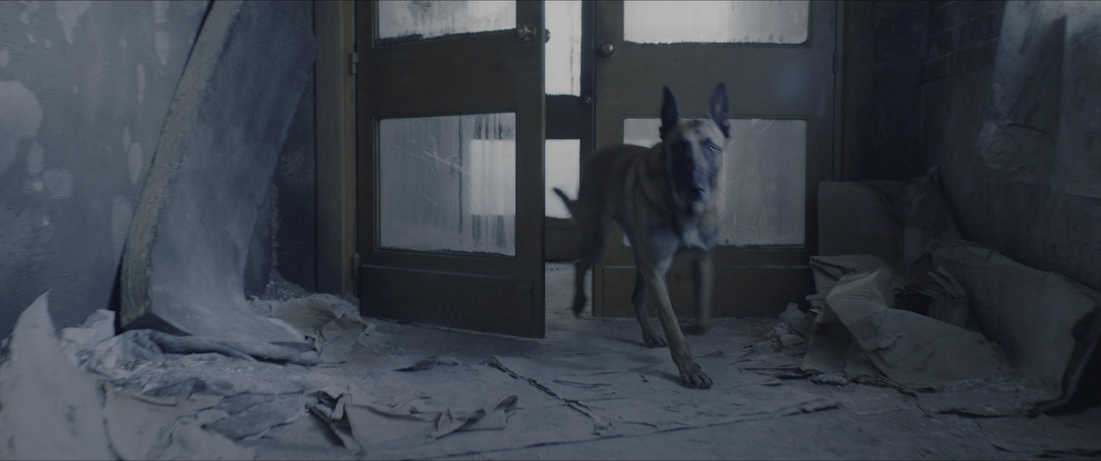 Dogman (2023), wide, 2.39:1 — film still