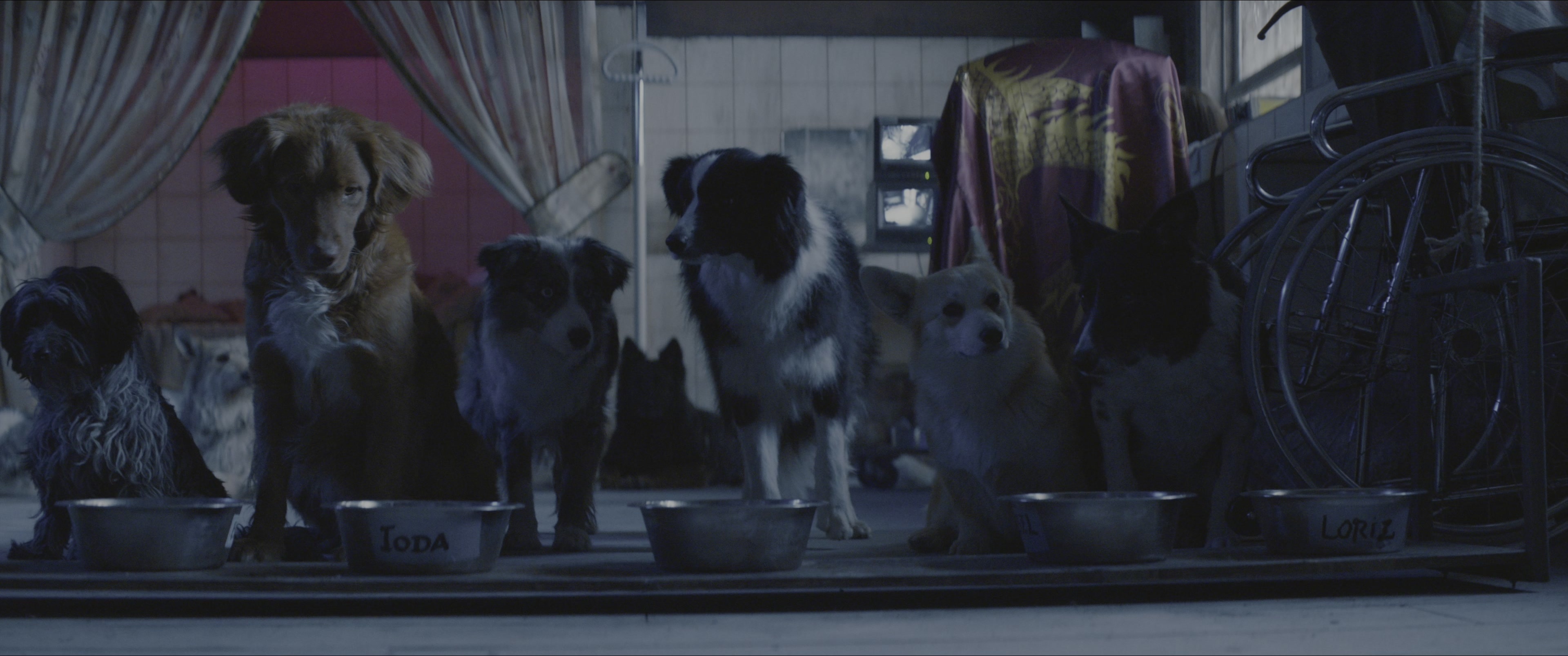 Dogman (2023), wide, 2.39:1 — film still