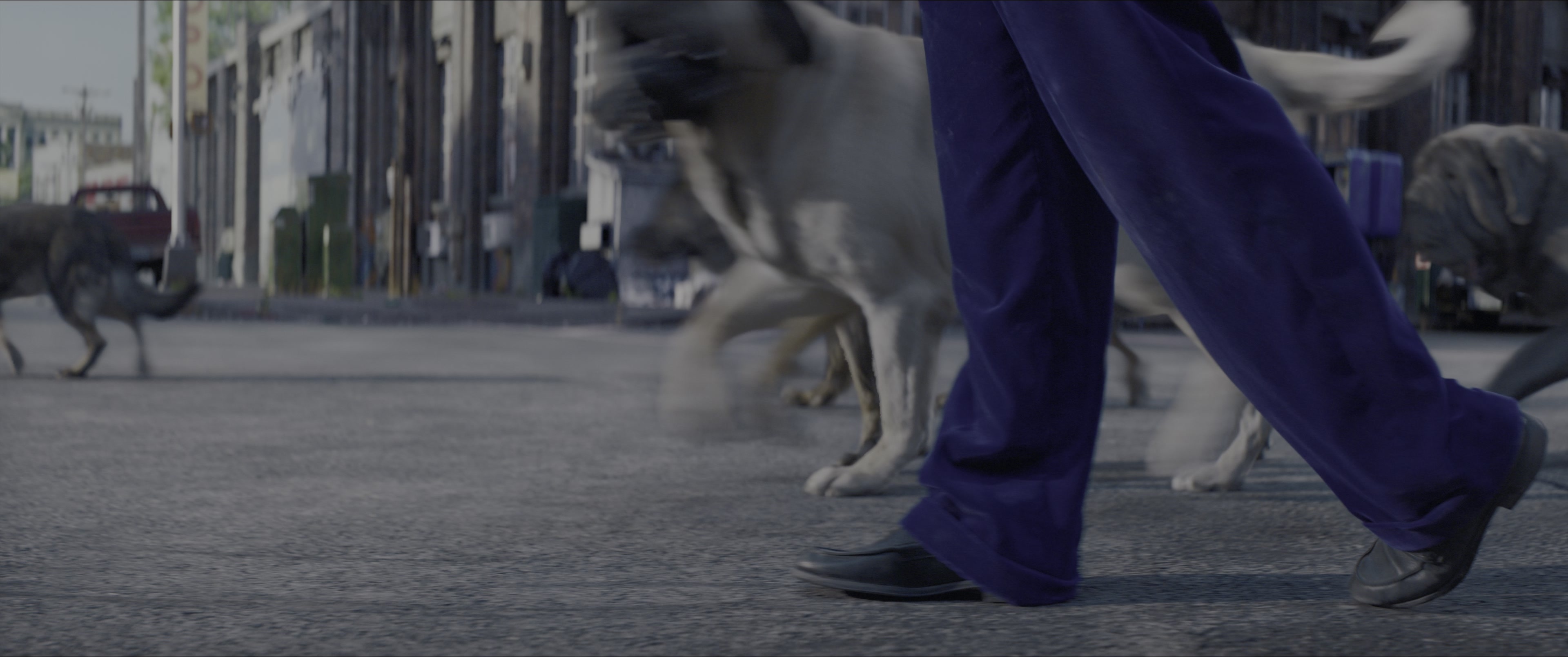 Dogman (2023), wide, 2.39:1 — film still
