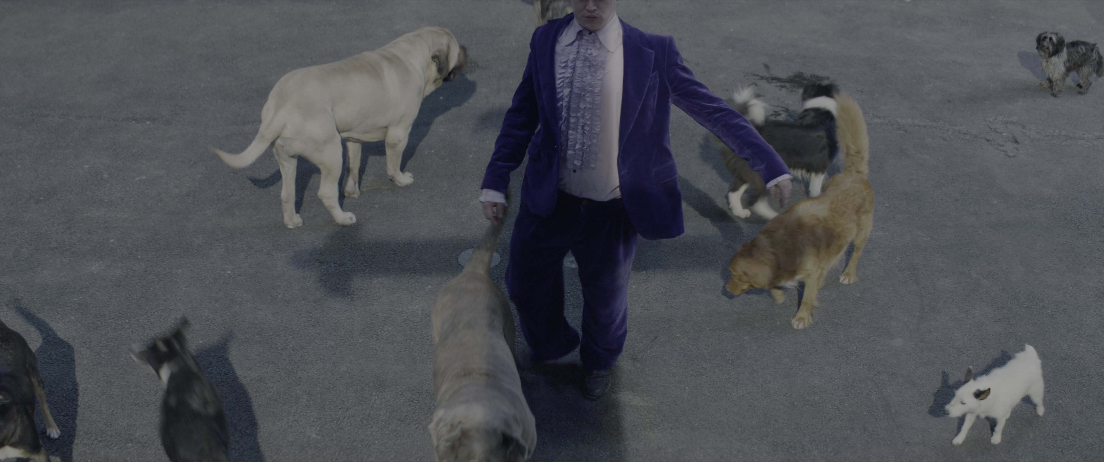 Dogman (2023), wide, 2.39:1 — film still