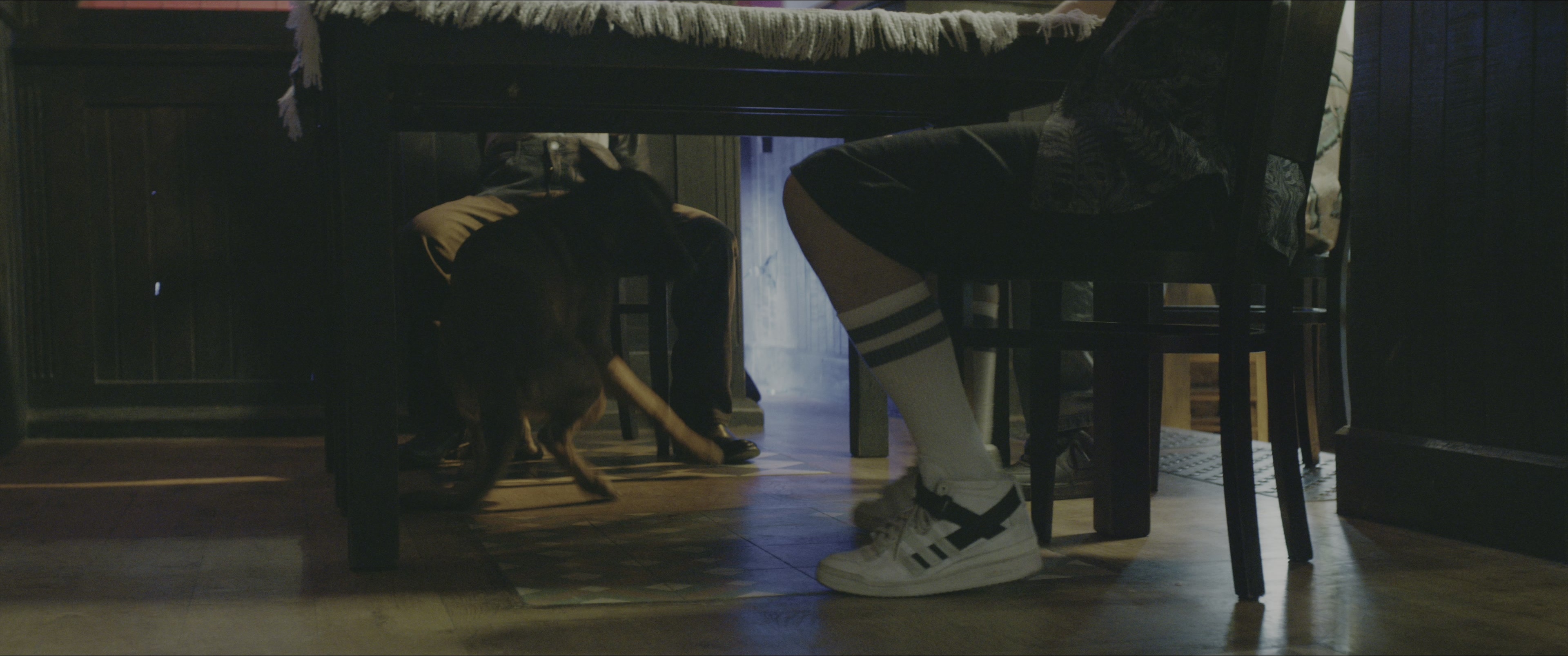 Dogman (2023), wide, 2.39:1 — film still