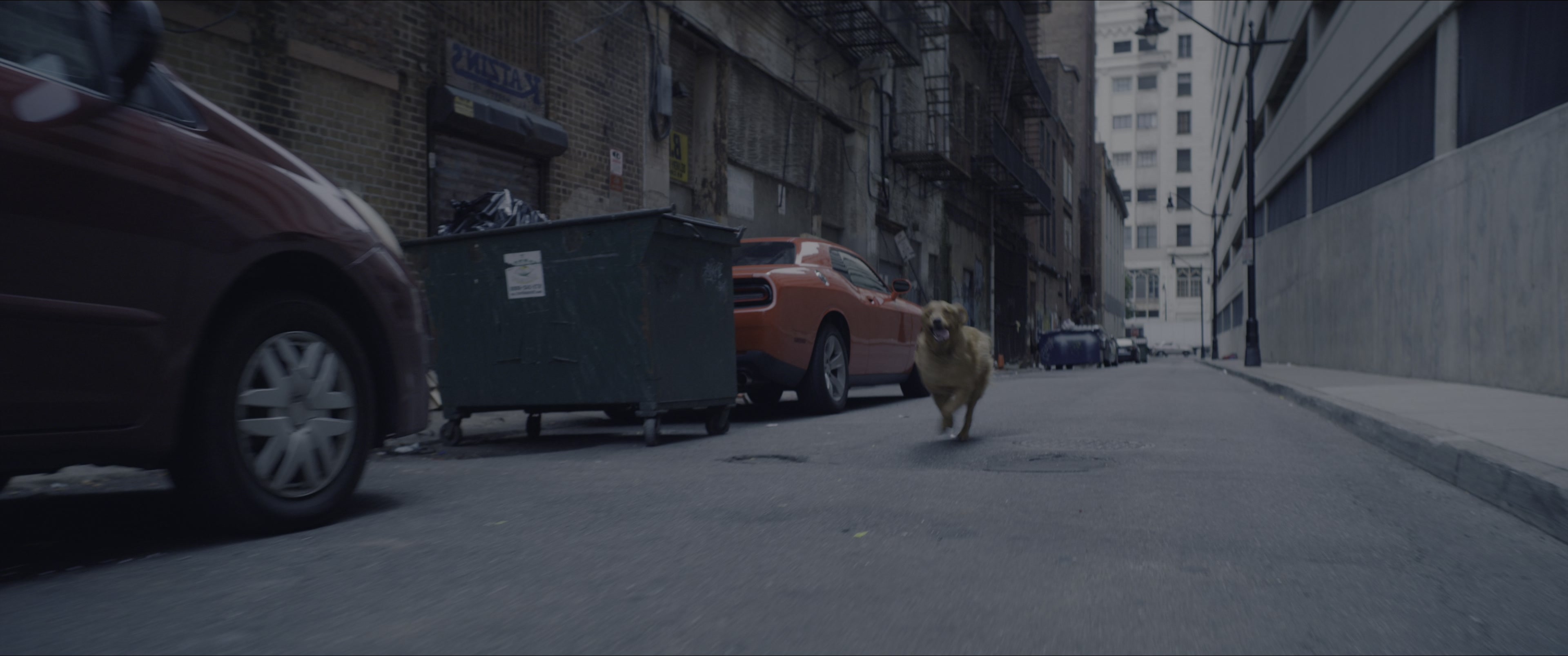 Dogman (2023), wide, 2.39:1 — film still