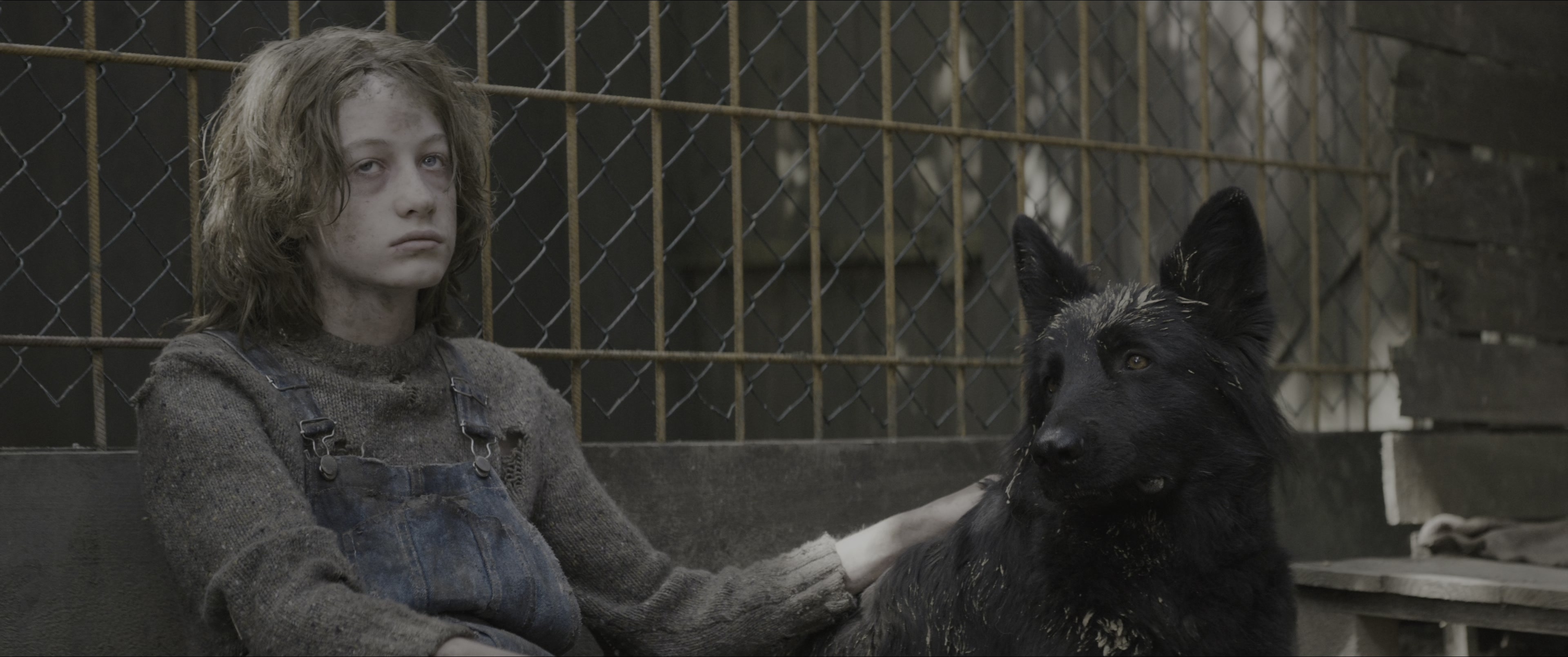 Dogman (2023), wide, 2.39:1 — film still