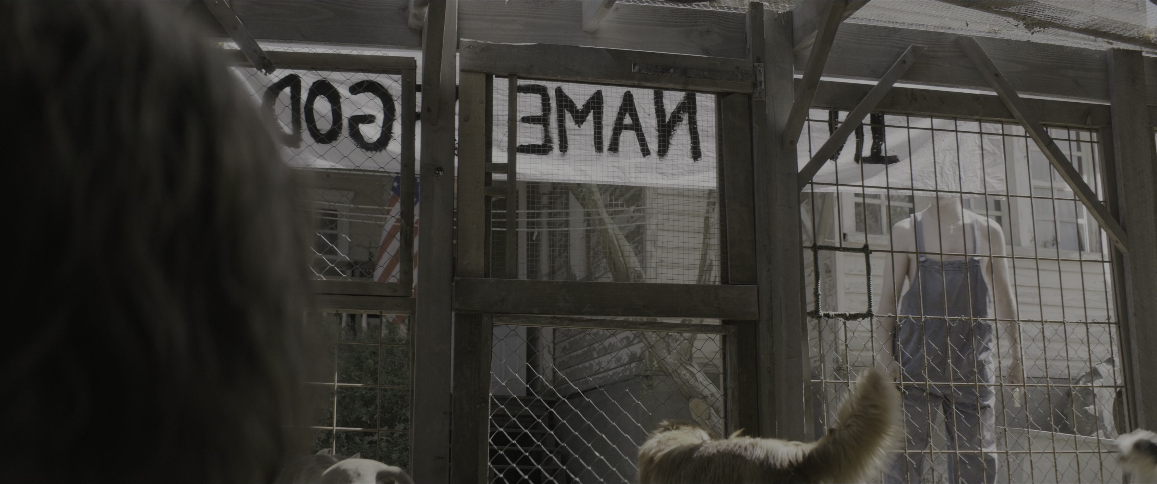Dogman (2023), wide, 2.39:1 — film still