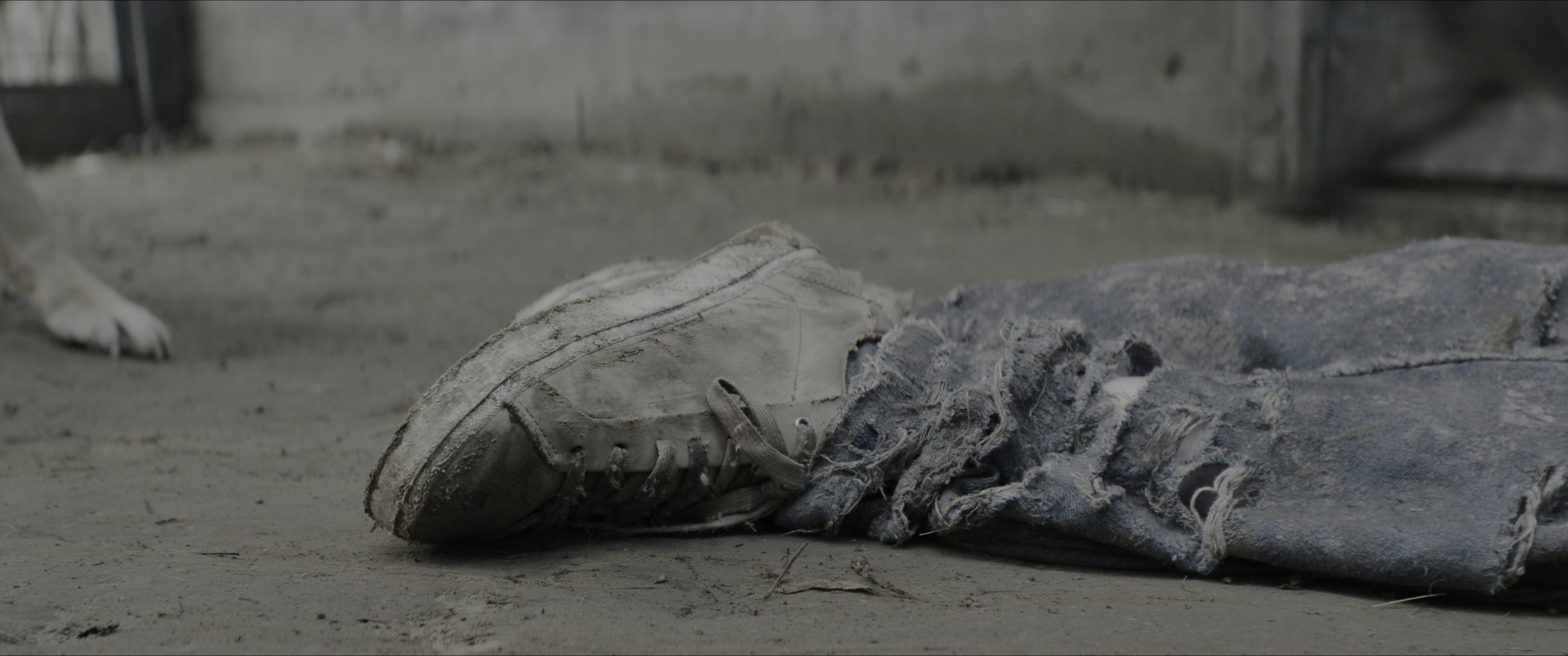 Dogman (2023), wide, 2.39:1 — film still