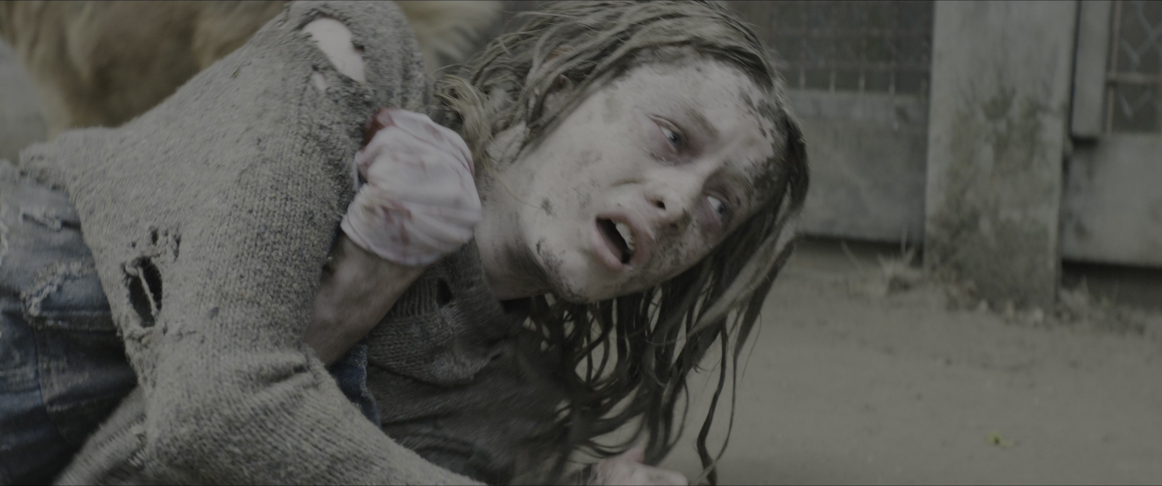 Dogman (2023), wide, 2.39:1 — film still