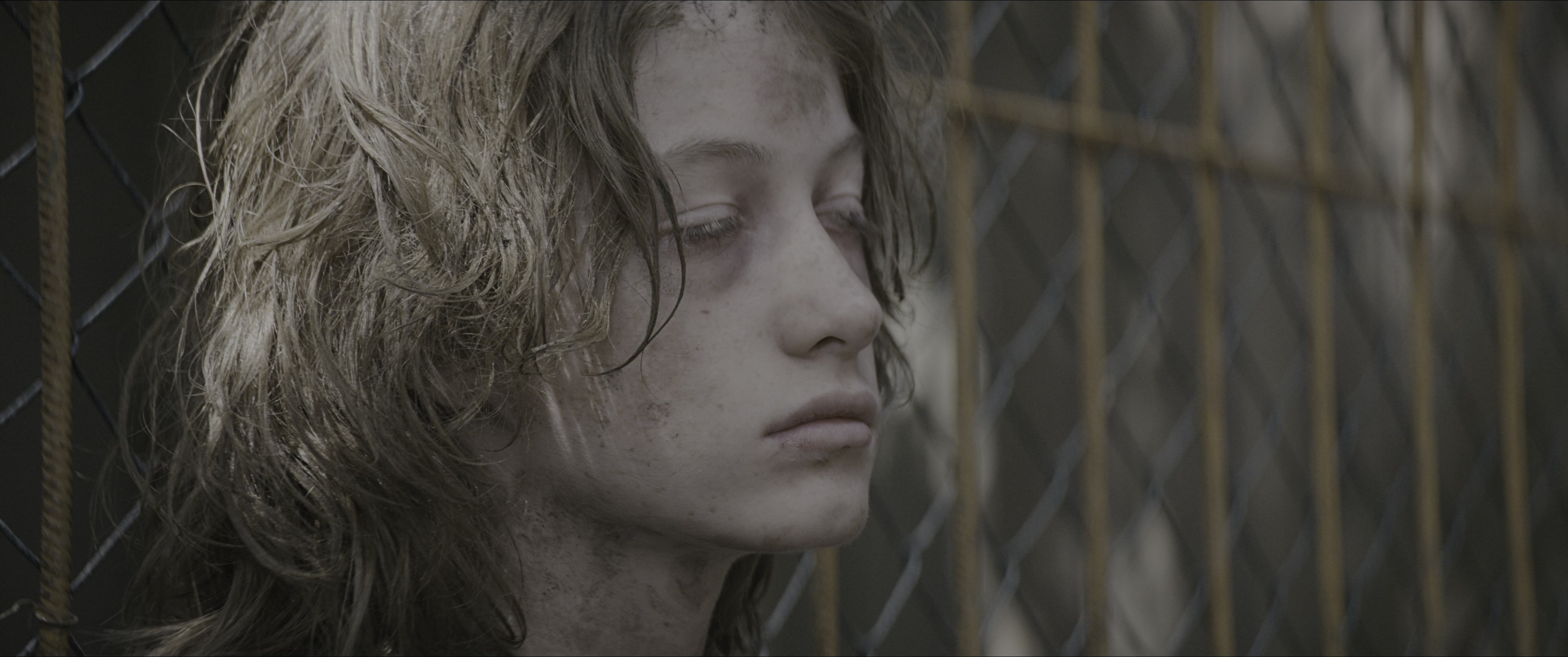 Dogman (2023), wide, 2.39:1 — film still