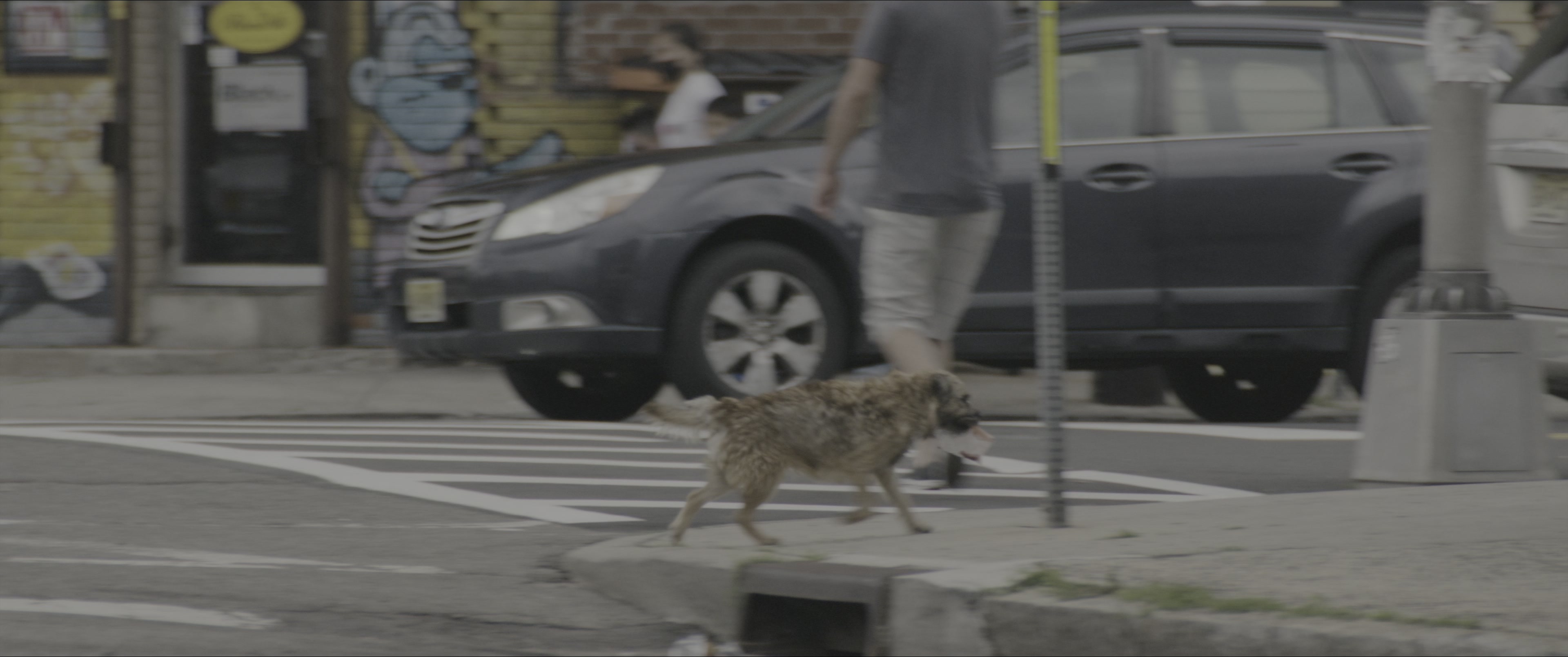 Dogman (2023), wide, 2.39:1 — film still