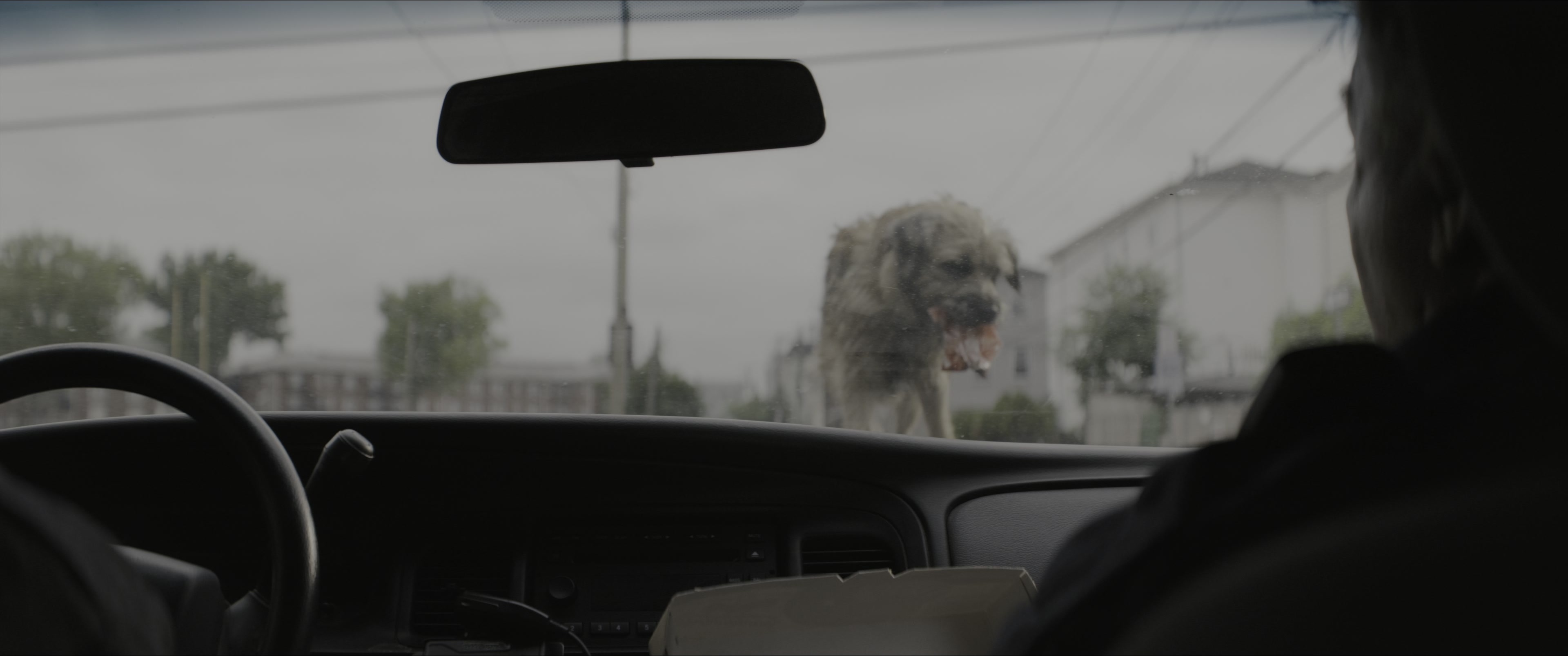 Dogman (2023), unknown, 2.39:1 — film still