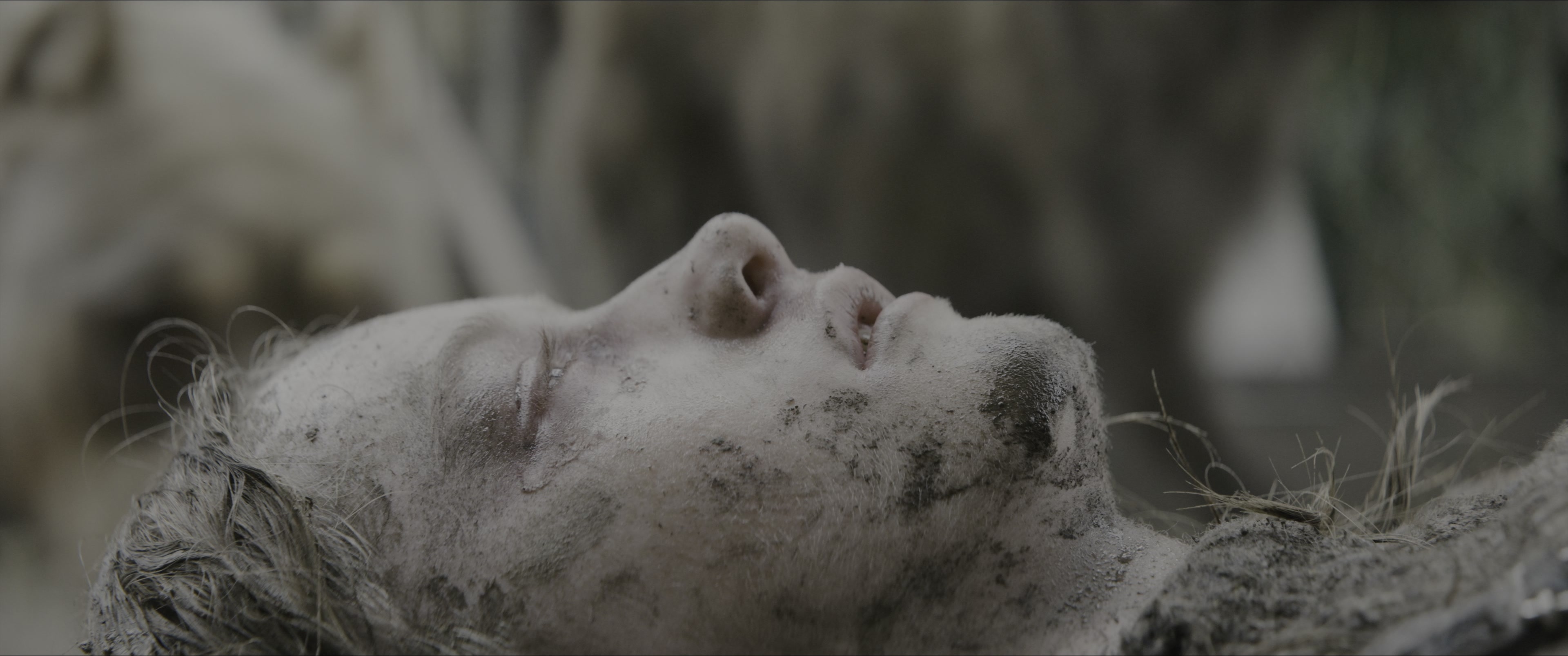 Dogman (2023), wide, 2.39:1 — film still