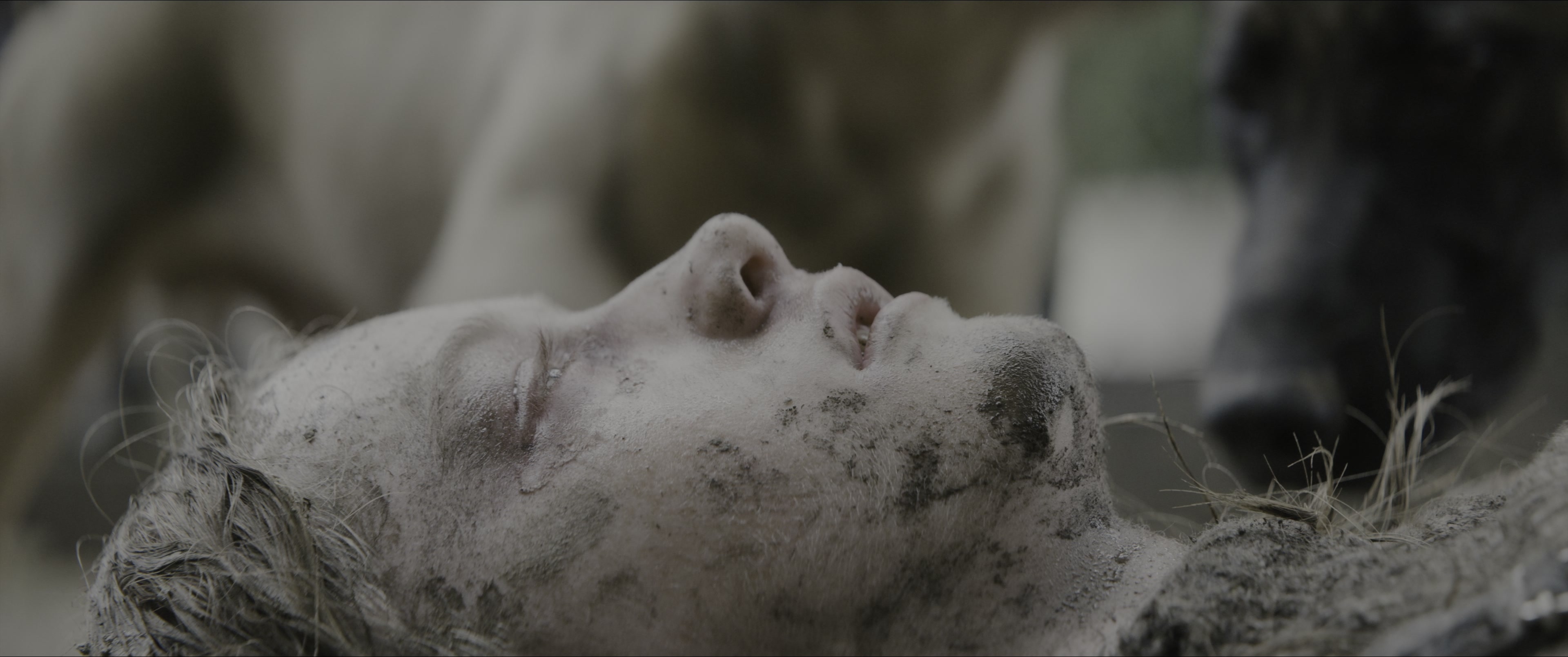 Dogman (2023), wide, 2.39:1 — film still