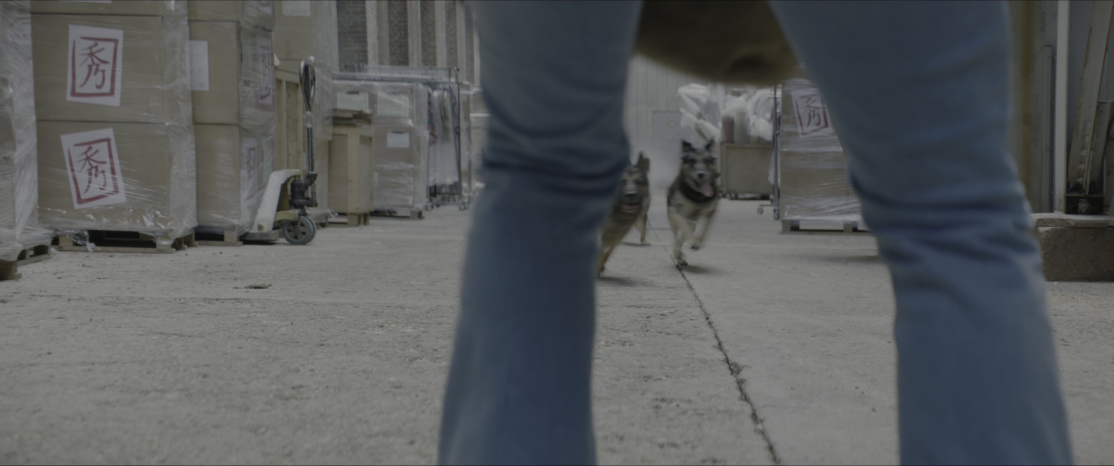 Dogman (2023), wide, 2.39:1 — film still