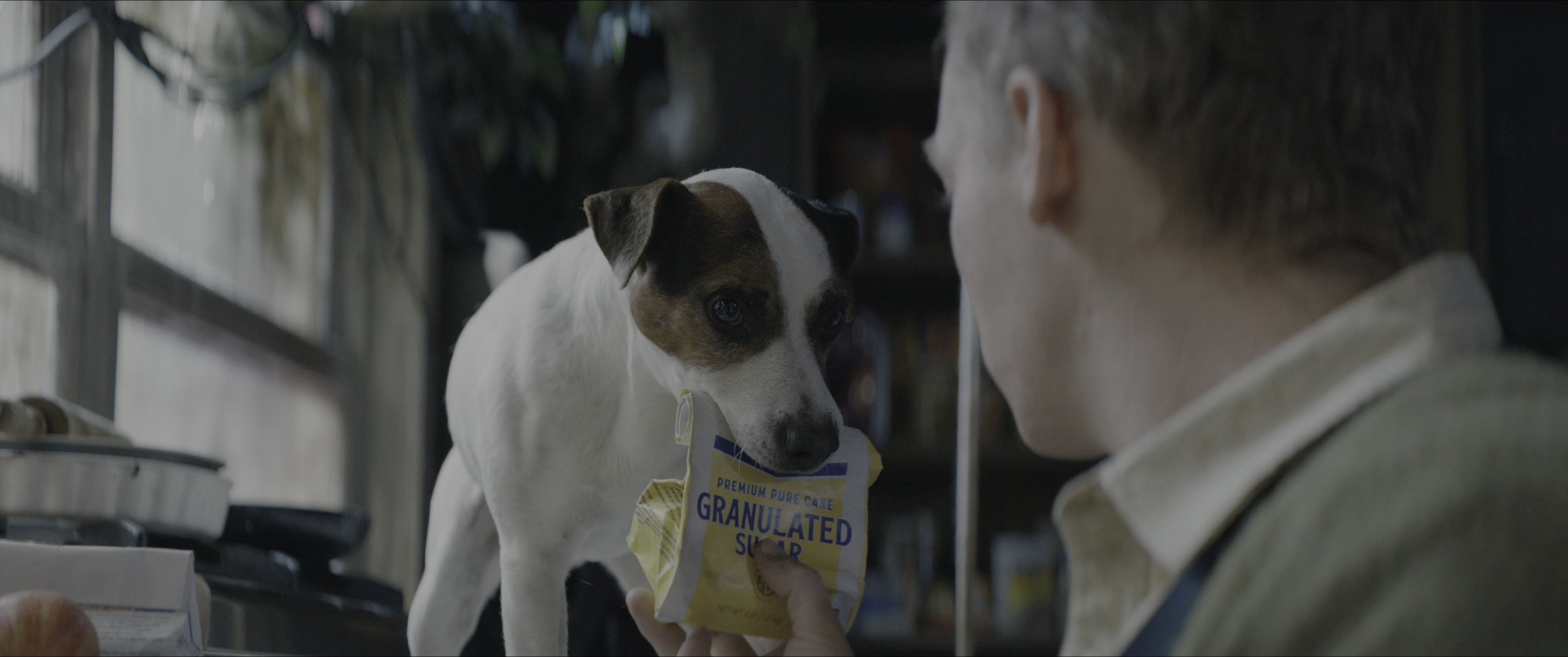 Dogman (2023), unknown, 2.39:1 — film still