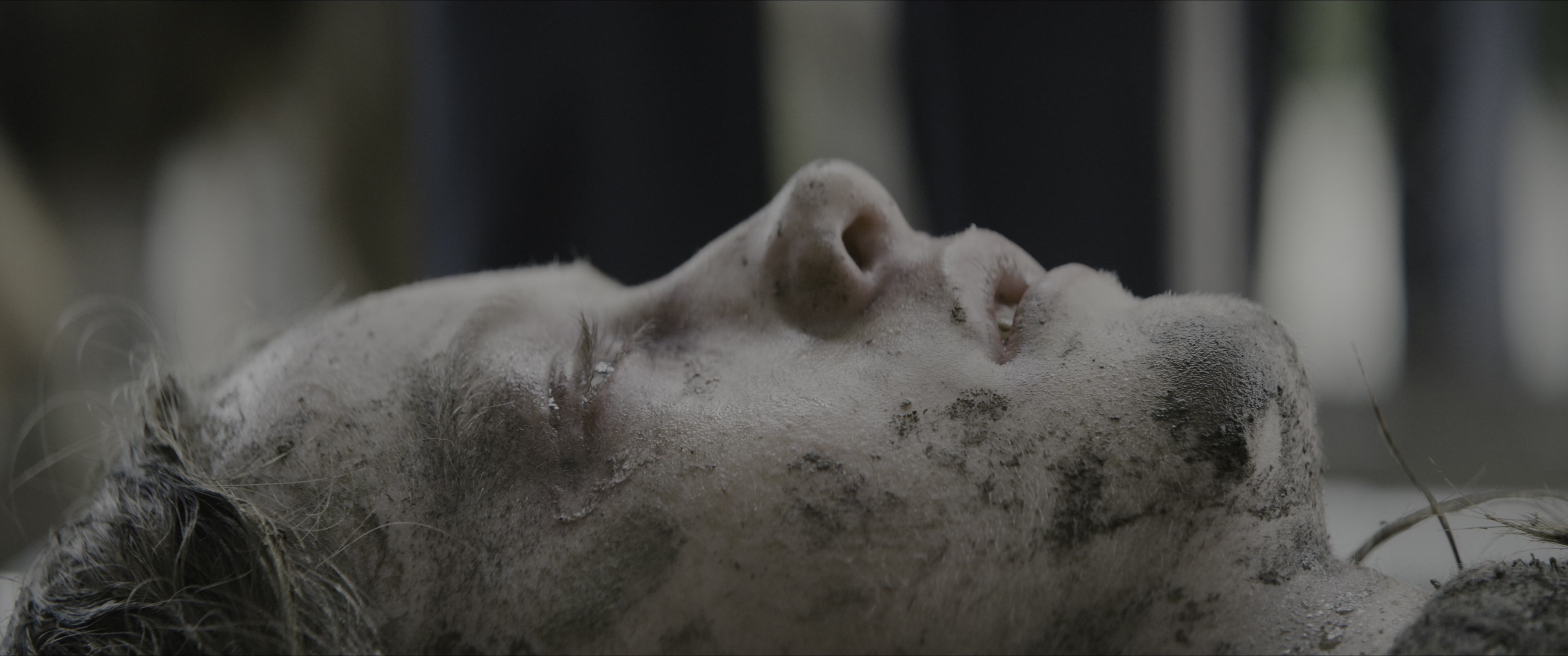Dogman (2023), wide, 2.39:1 — film still