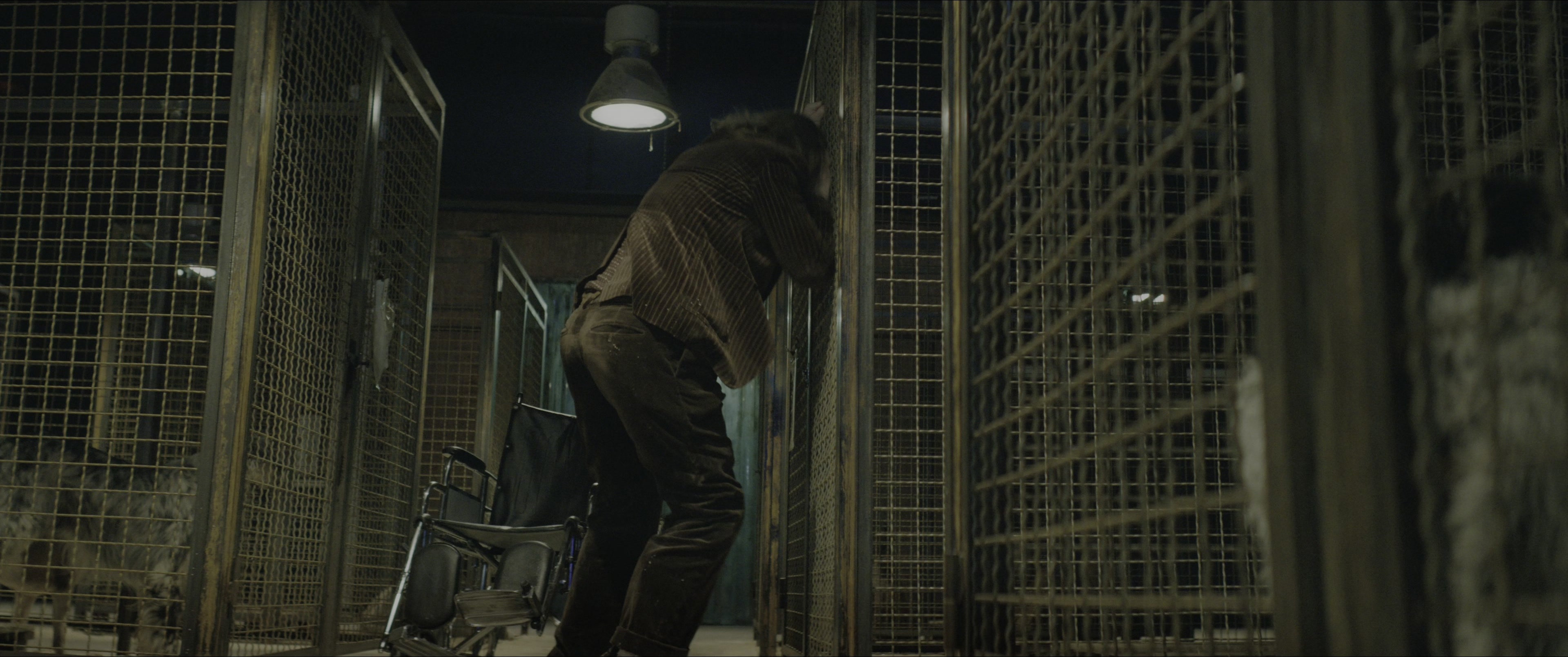 Dogman (2023), wide, 2.39:1 — film still