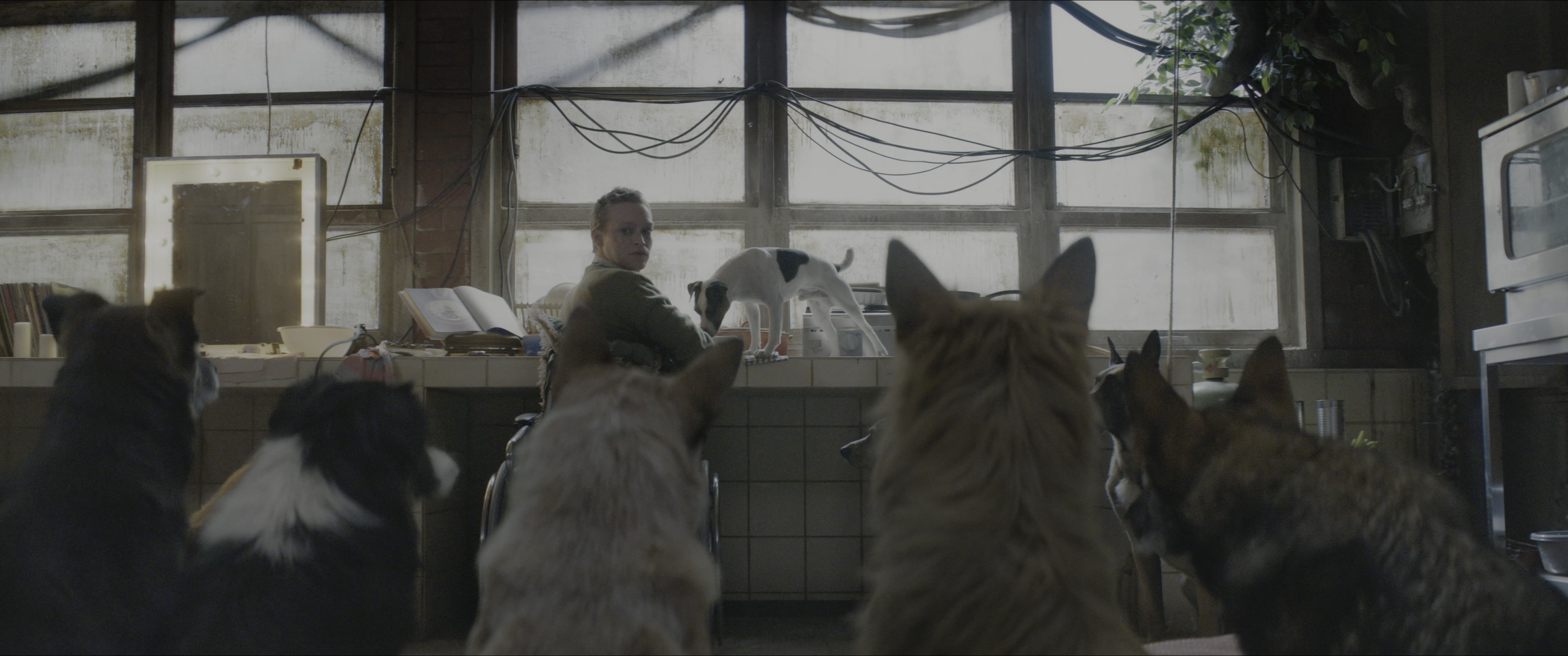 Dogman (2023), wide, 2.39:1 — film still
