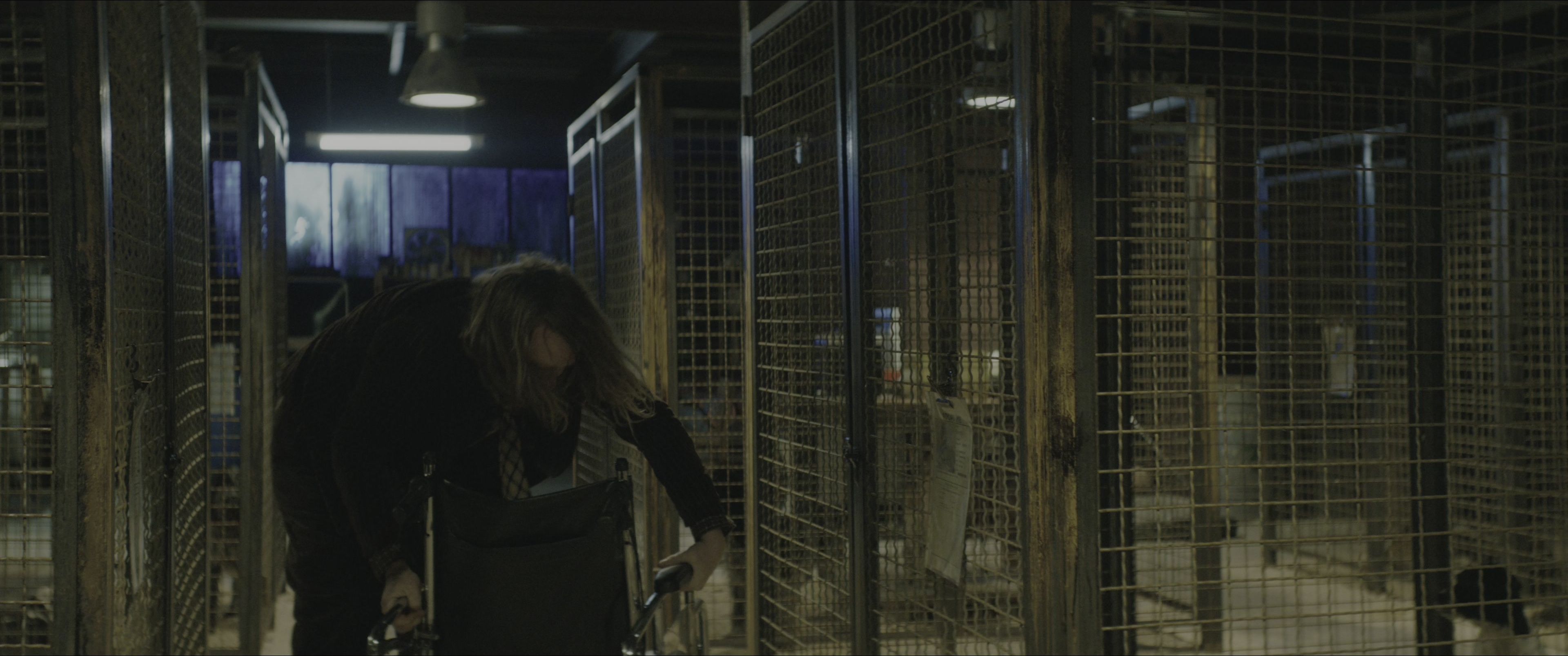 Dogman (2023), wide, 2.39:1 — film still