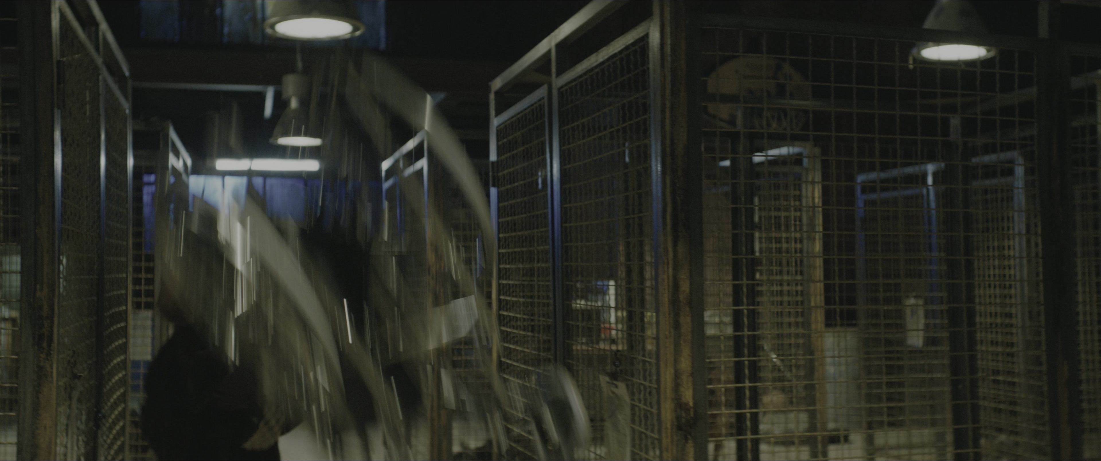 Dogman (2023), wide, 2.39:1 — film still