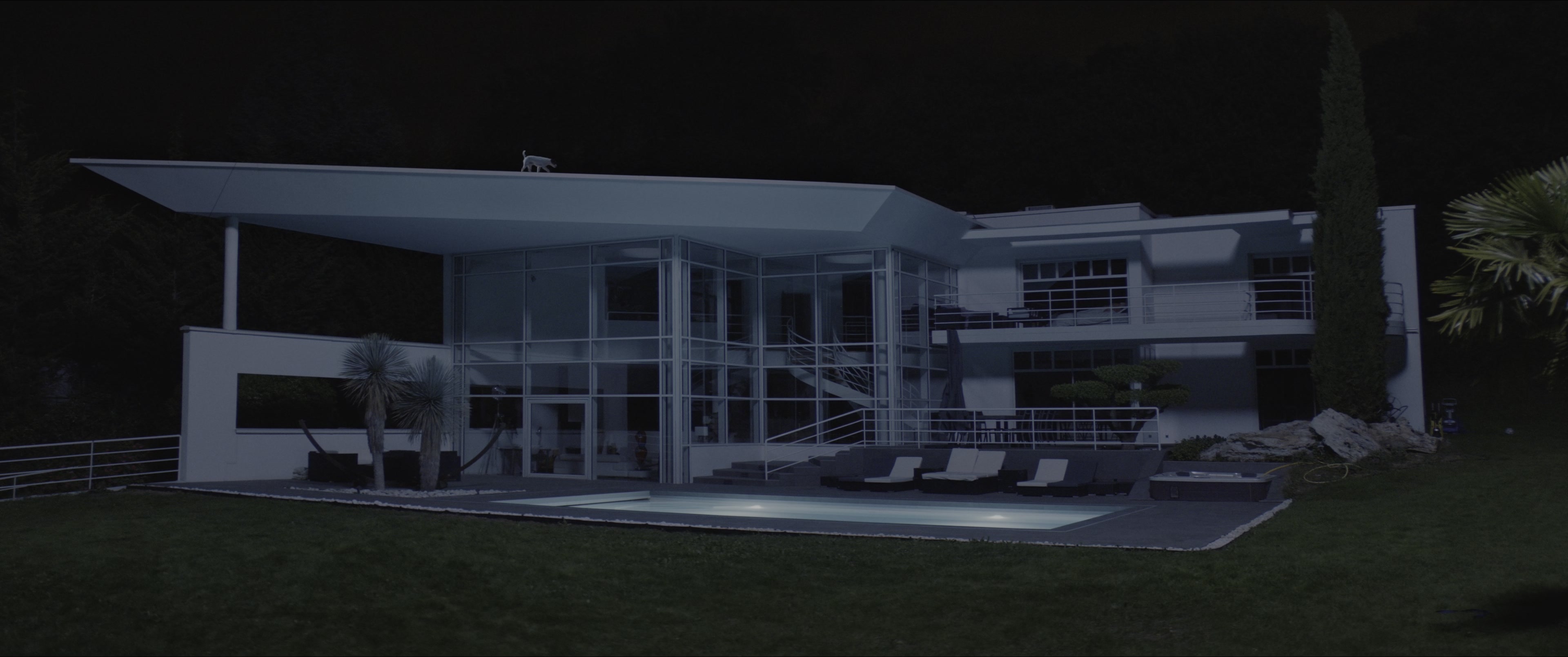 Dogman (2023), wide, 2.39:1 — film still