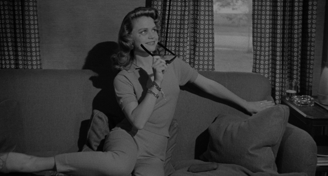 seria-589131.jpg