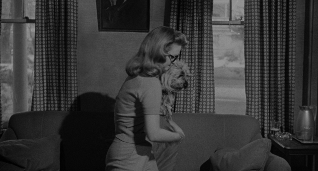 seria-595595.jpg