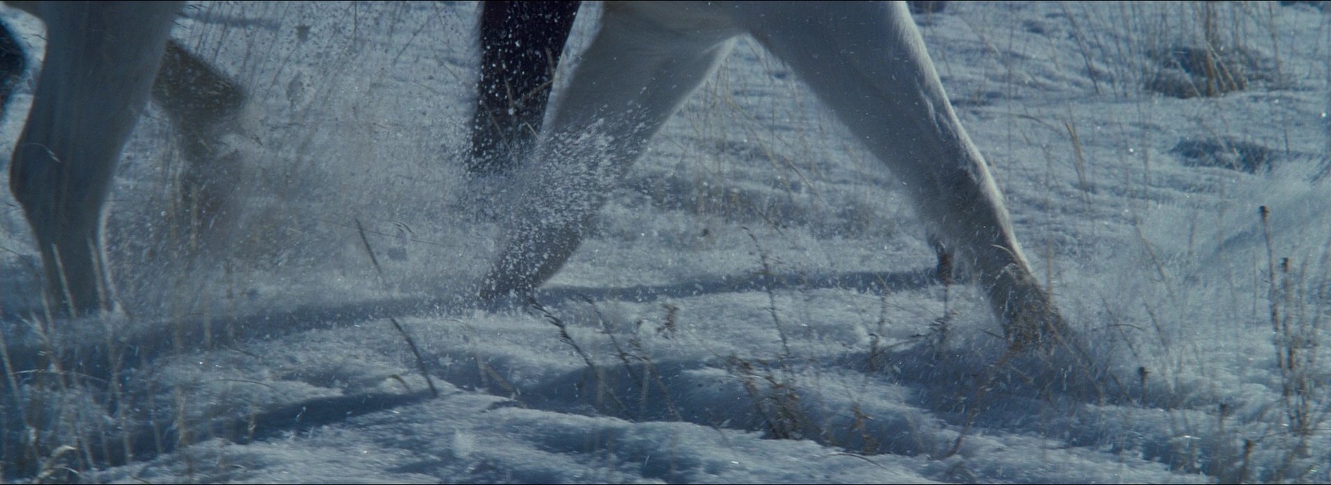 The Hateful Eight (2015), wide, 2.74:1 — film still