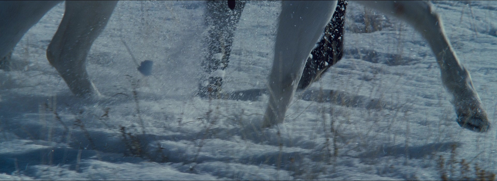 The Hateful Eight (2015), wide, 2.74:1 — film still