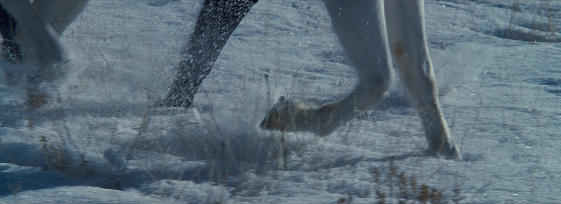 The Hateful Eight (2015), wide, 2.74:1 — film still