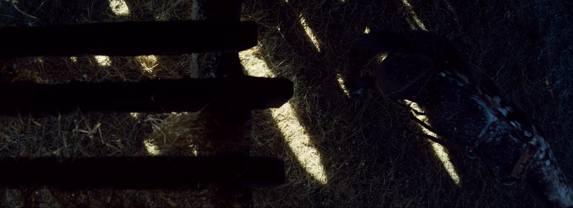 The Hateful Eight (2015), unknown, 2.75:1 — film still